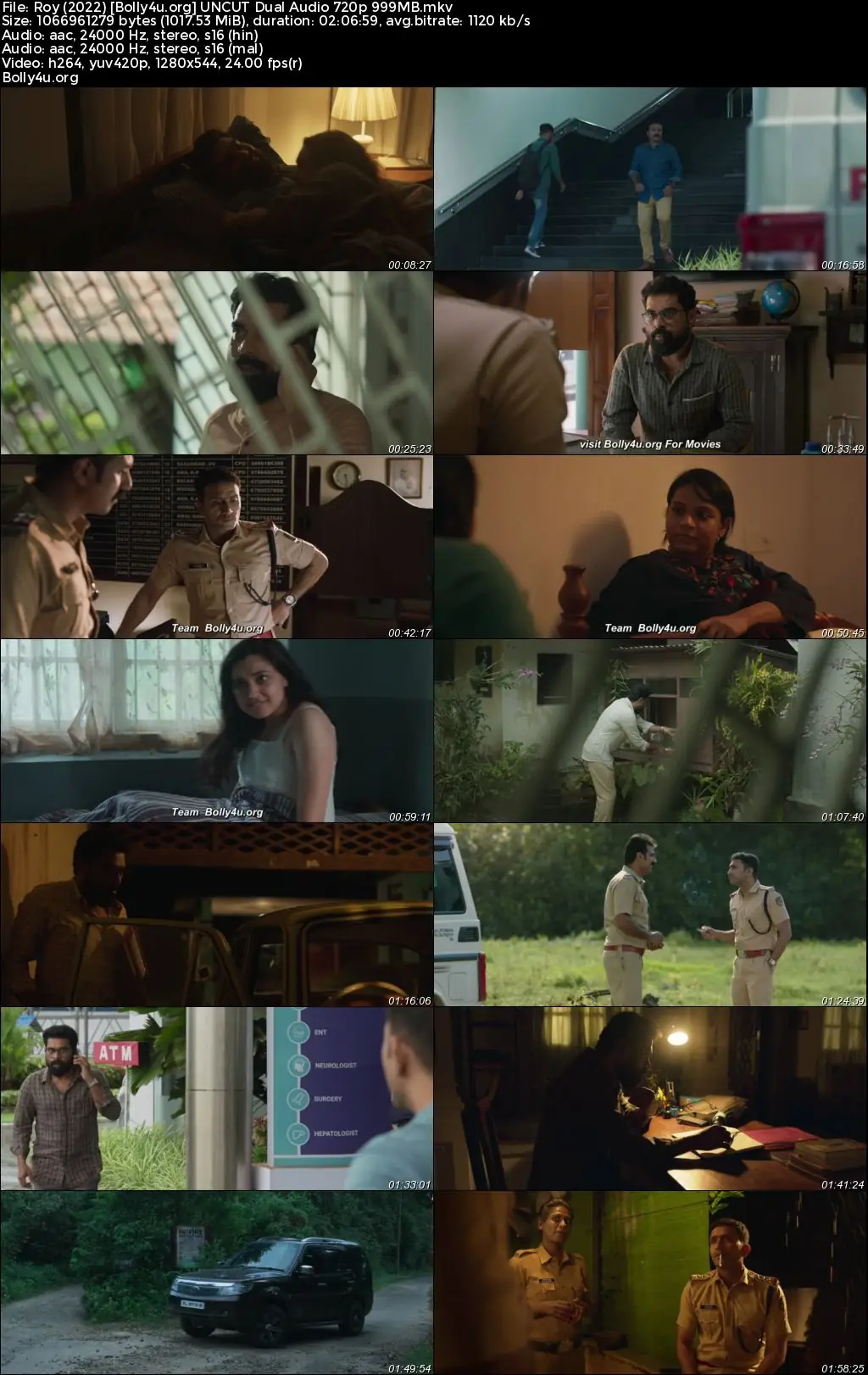 Roy 2022 WEB-DL UNCUT Hindi Dual Audio ORG Full Movie Download 1080p  720p  480p