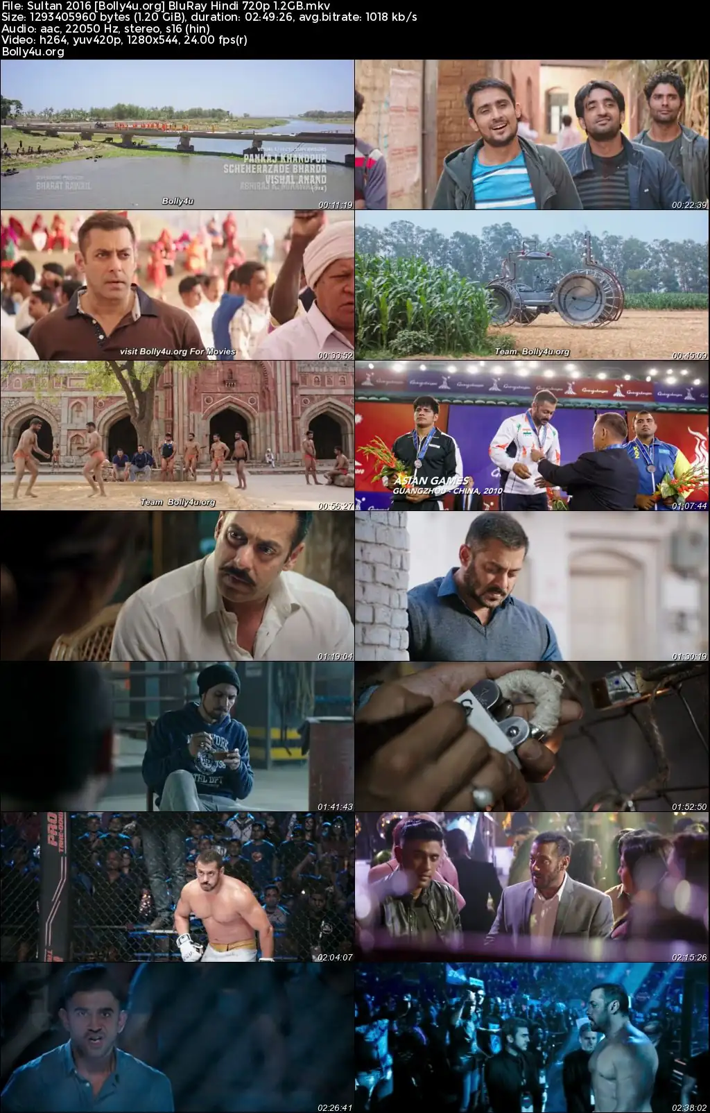 Sultan 2016 BluRay Hindi Full Movie Download 1080p  720p  480p