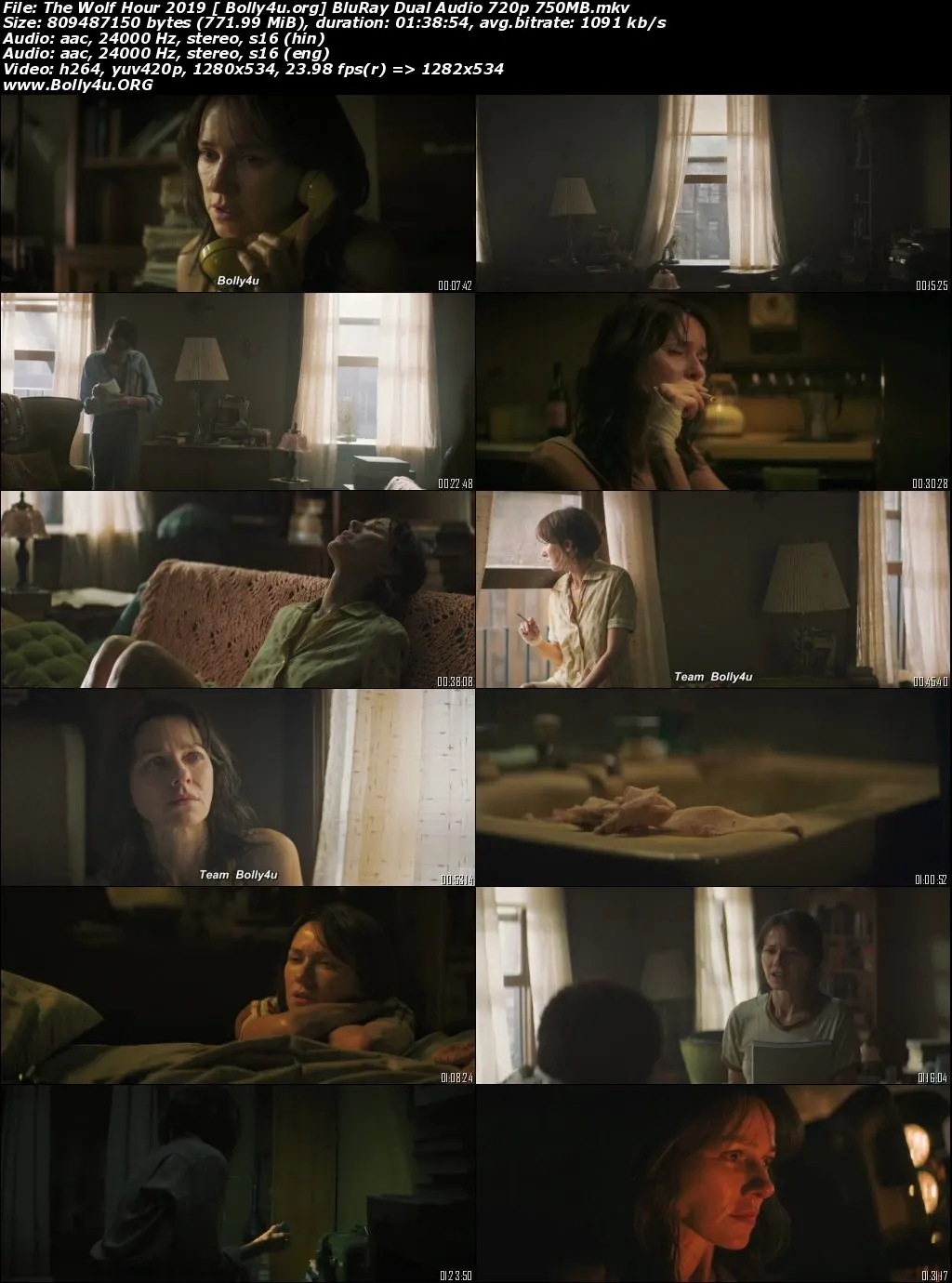 The Wolf Hour 2019 BluRay 350Mb Hindi Dual Audio 480p Download