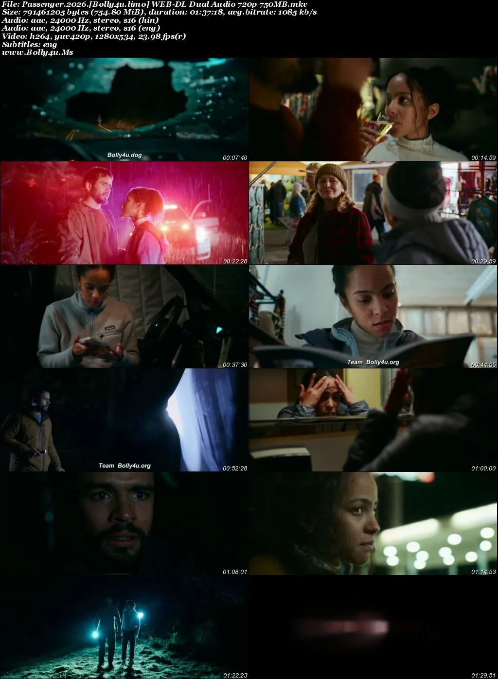 Passenger 2026 WEB-DL Hindi Dual Audio ORG Full Movie Download 1080p 720p 480p Passenger 2026 WEB-DL Hindi Dual Audio ORG Full Movie Download 1080p 720p 480p