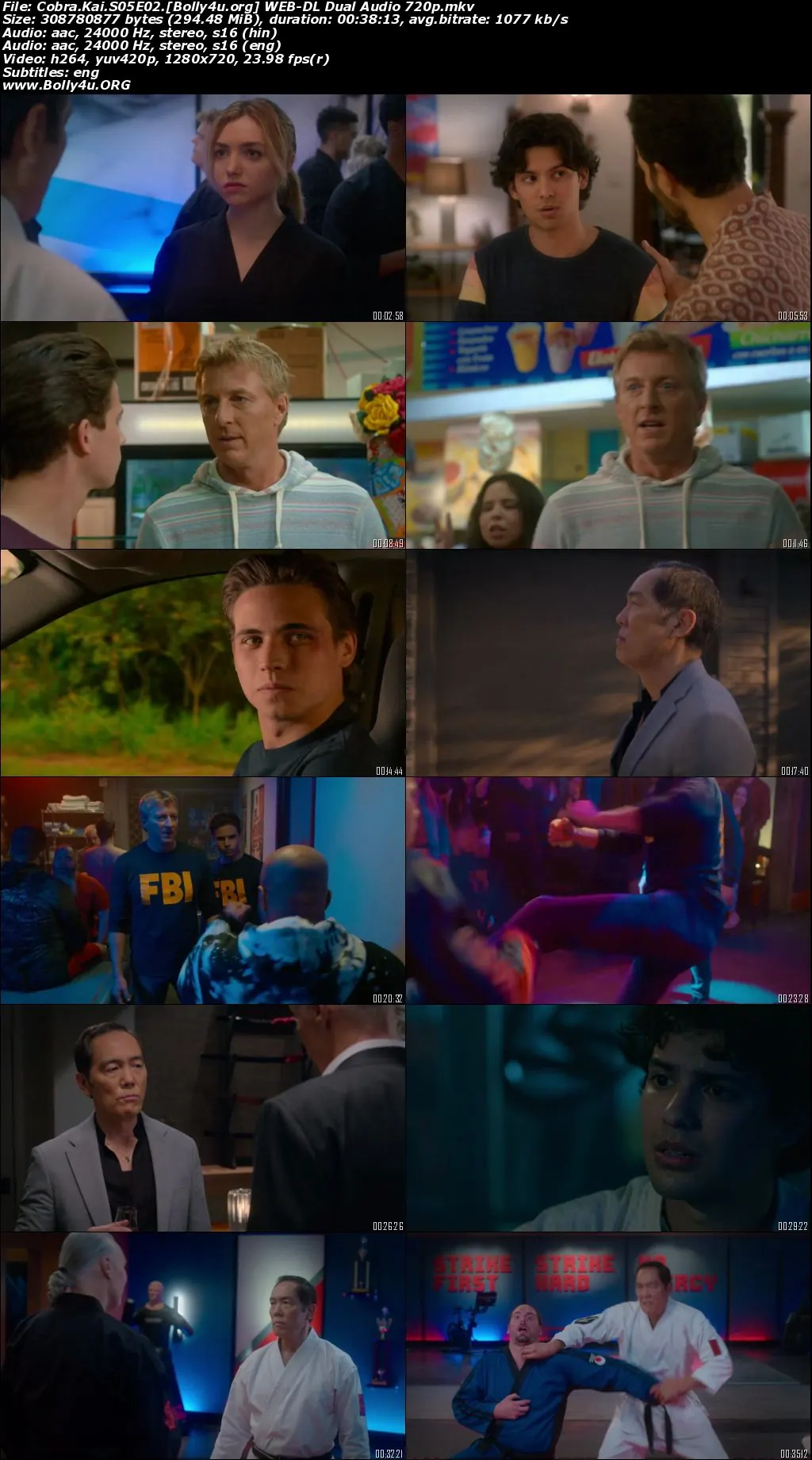 Cobra Kai 2022 WEB-DL Hindi Dual Audio ORG S05 Complete Download 720p 480p Cobra Kai 2022 WEB-DL Hindi Dual Audio ORG S05 Complete Download 720p 480p