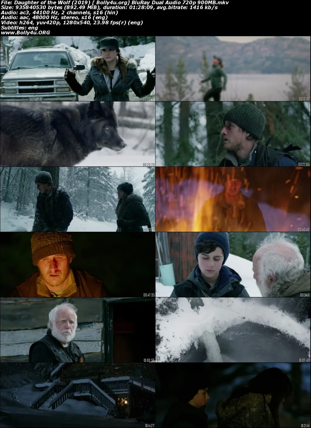 Daughter of the Wolf 2019 BluRay 300Mb Hindi Dual Audio 480p Download