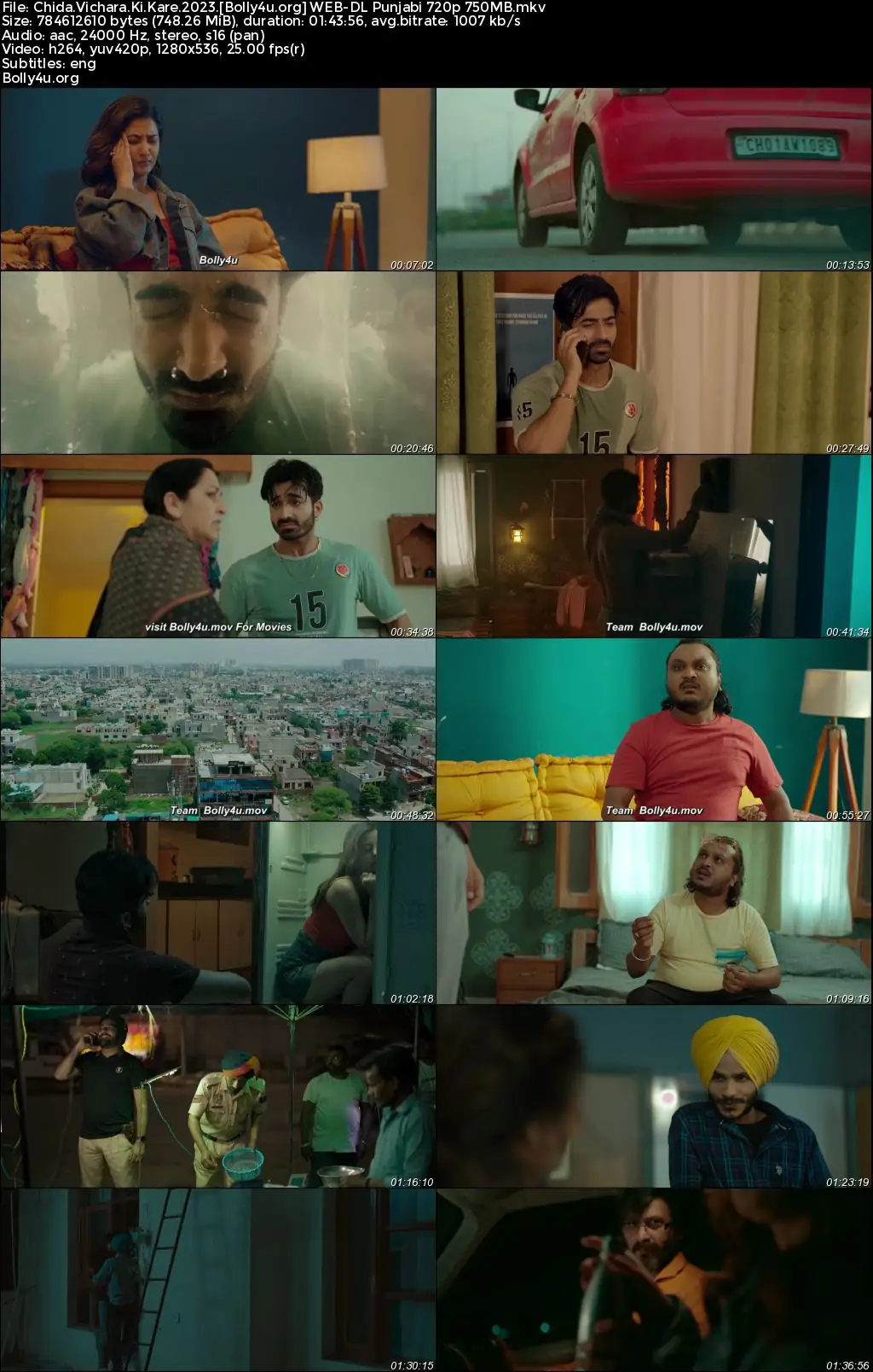 Chida Vichara Ki Kare 2023 WEB-DL Punjabi Full Movie Download 1080p  720p  480p