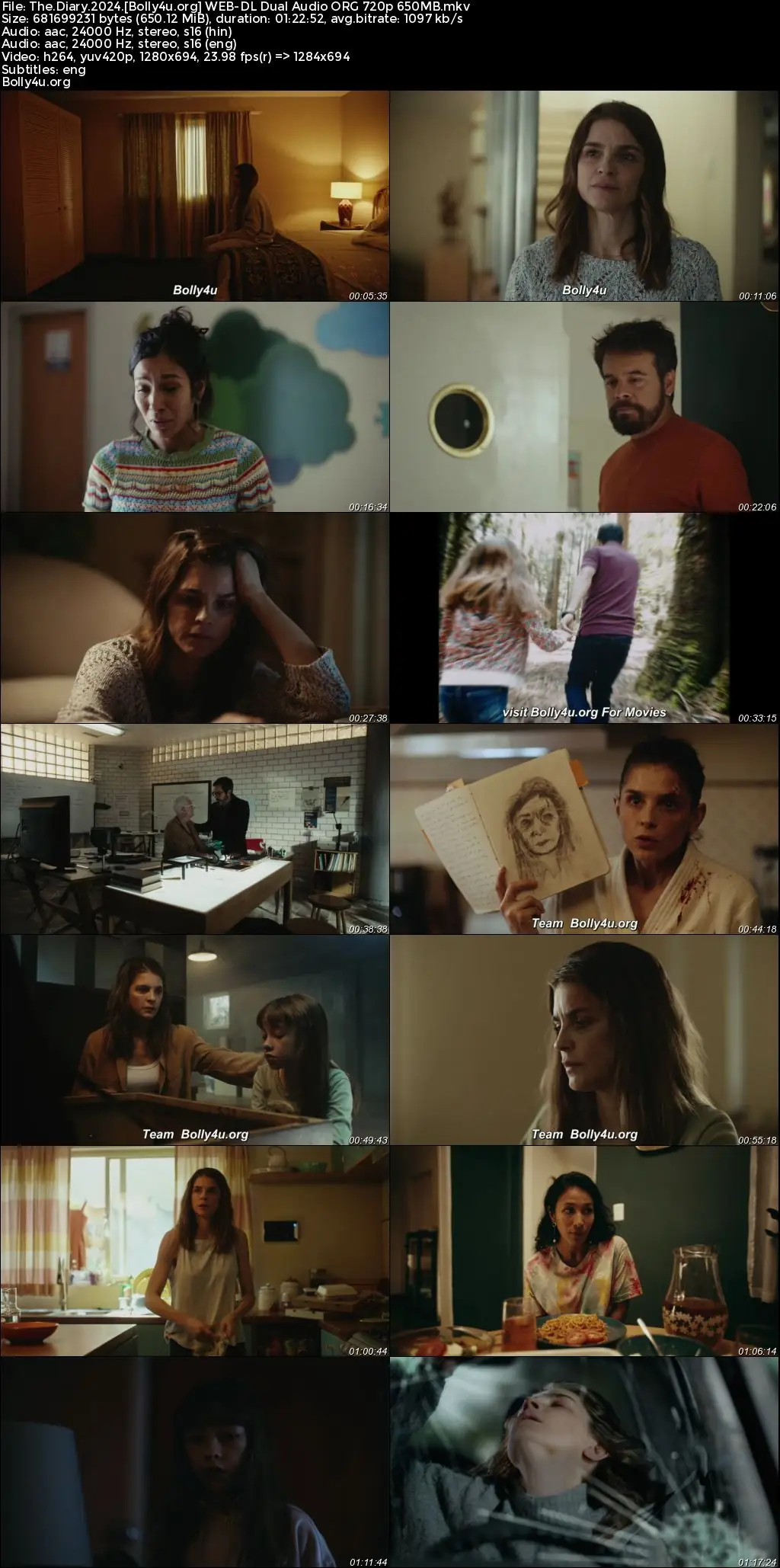 The Diary 2024 WEB-DL Hindi Dual Audio ORG Full Movie Download 1080p  720p  480p