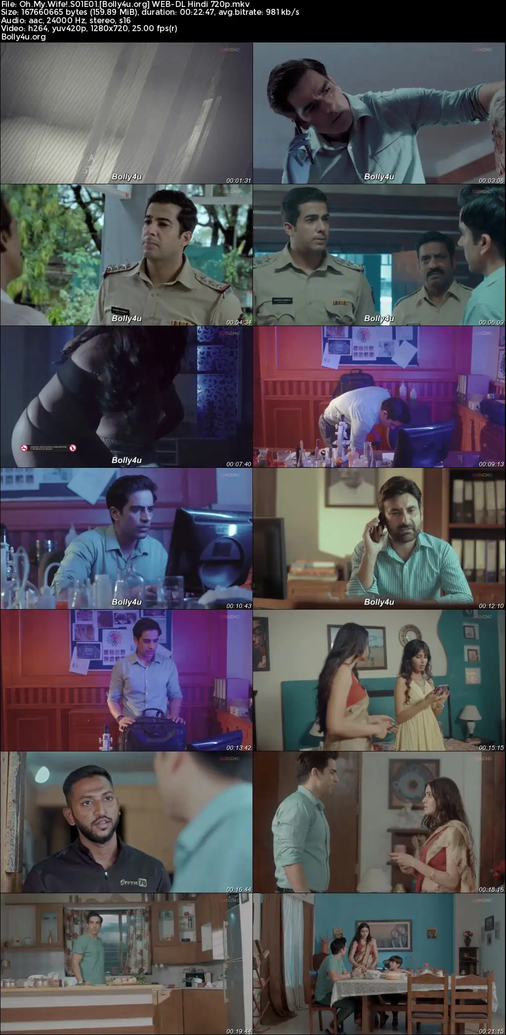 Oh My Wife 2024 WEB-DL Hindi S01 Complete Download 720p  480p