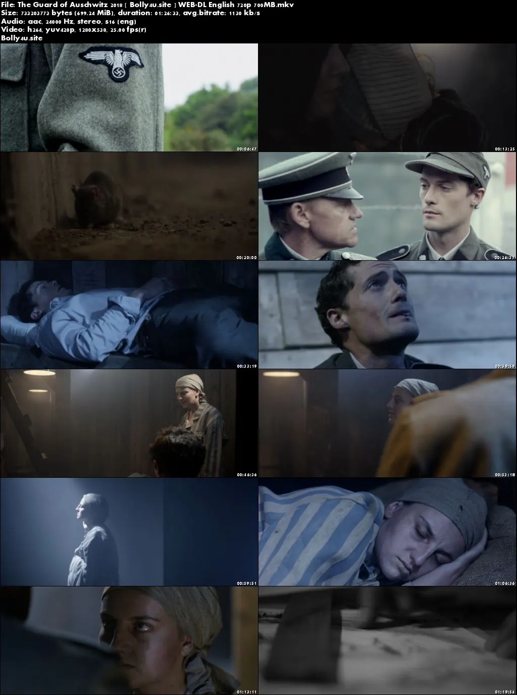 The Guard of Auschwitz 2018 WEB-DL 700MB English 720p Download