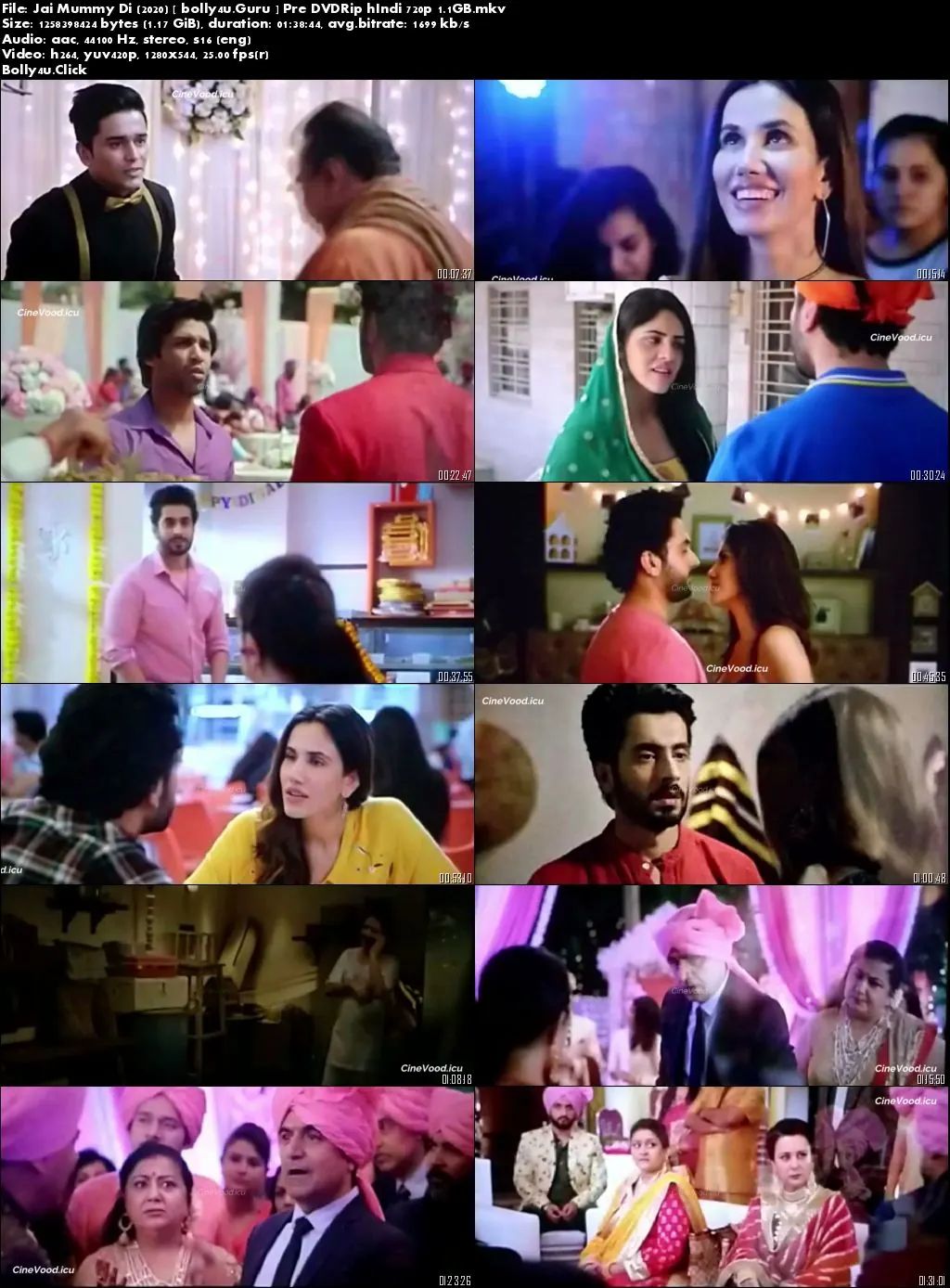 Jai Mummy Di 2020 Pre DVDRip 300Mb Full Hindi Movie Download 480p
