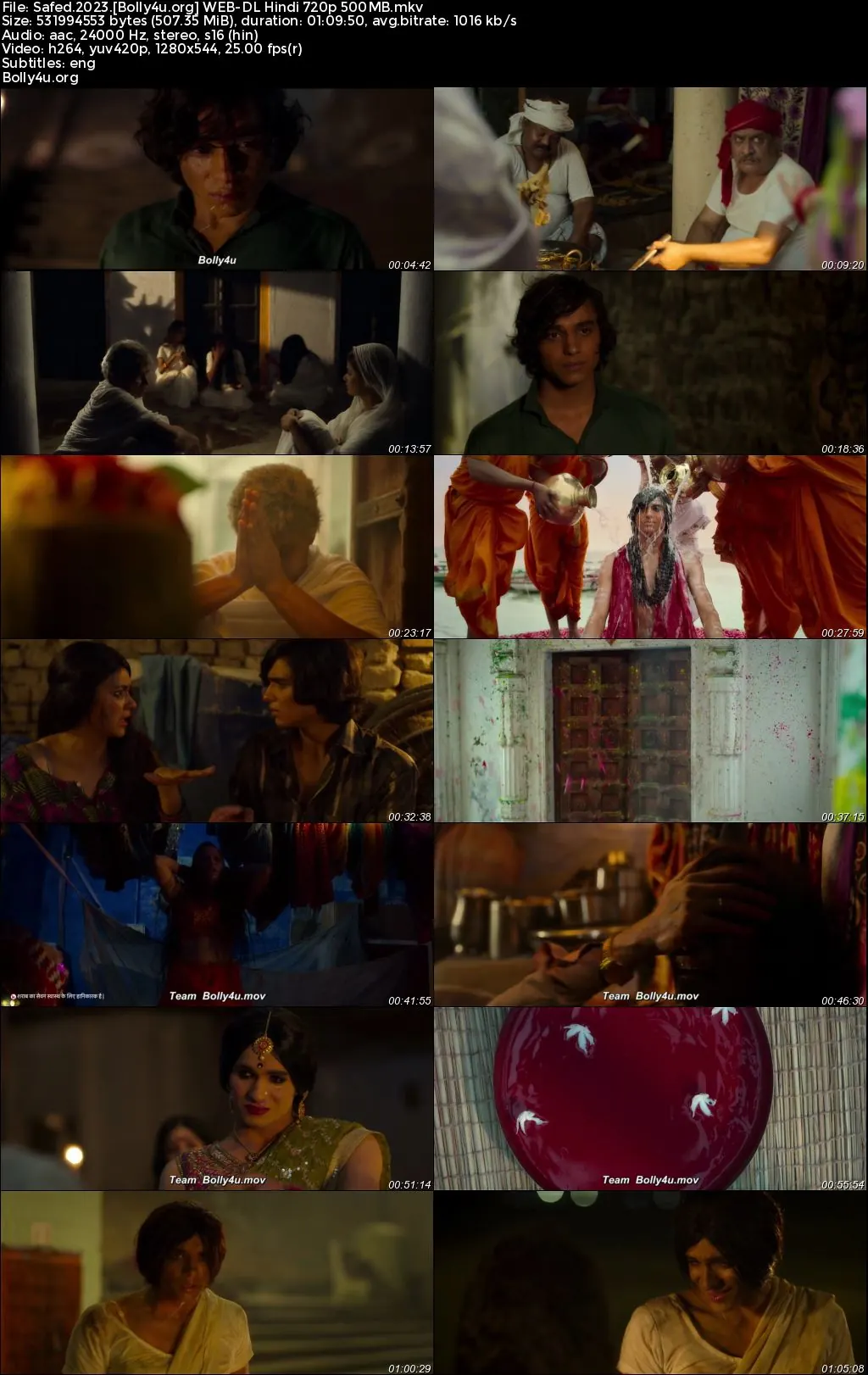 Safed 2023 WEB-DL Hindi Full Movie Download 1080p  720p  480p