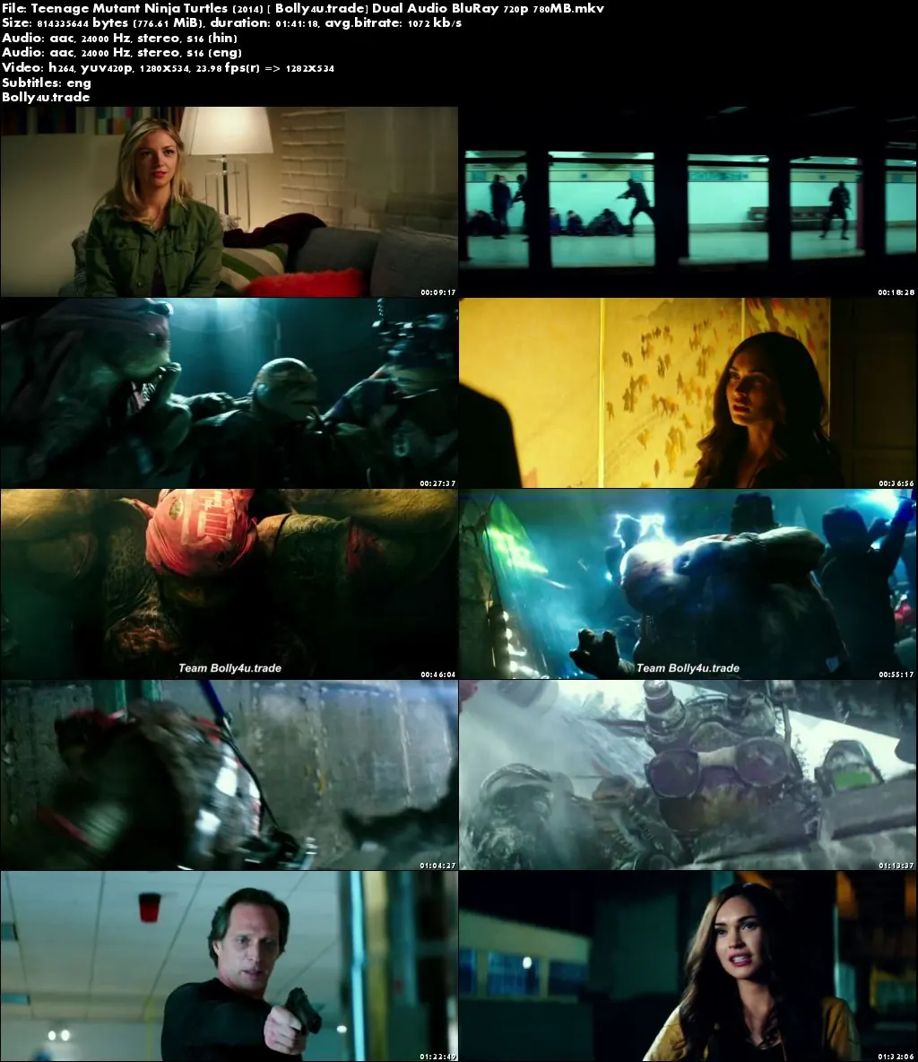 Teenage Mutant Ninja Turtles 2014 BRRip 350Mb Hindi Dual Audio 480p Download