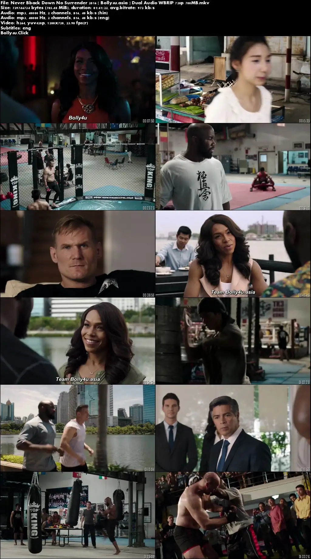 Never Back Down No Surrender 2016 WEB-DL 300Mb Hindi Dual Audio 480p Download