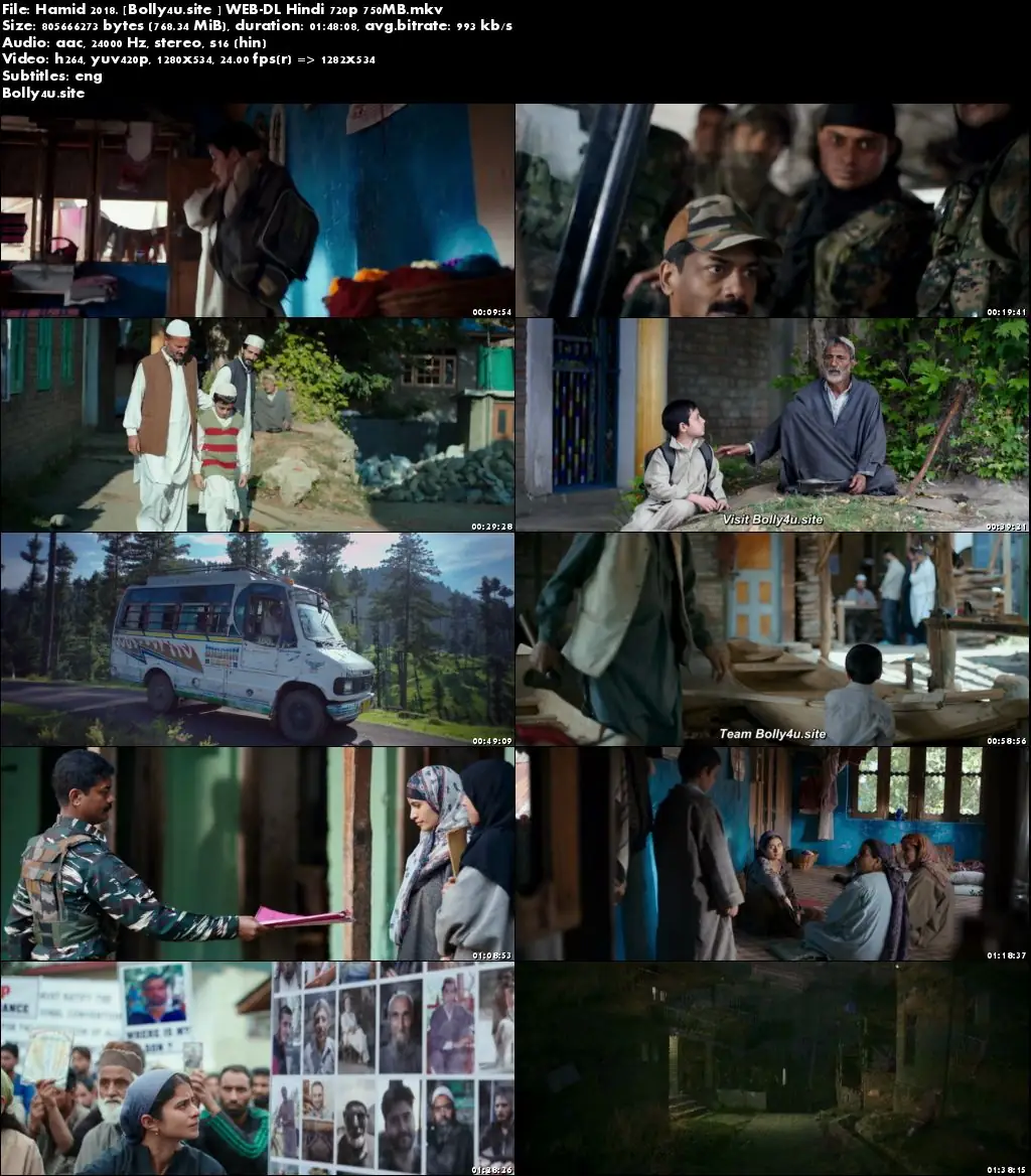 Hamid 2018 WEB-DL 300MB Hindi 480p ESub Download