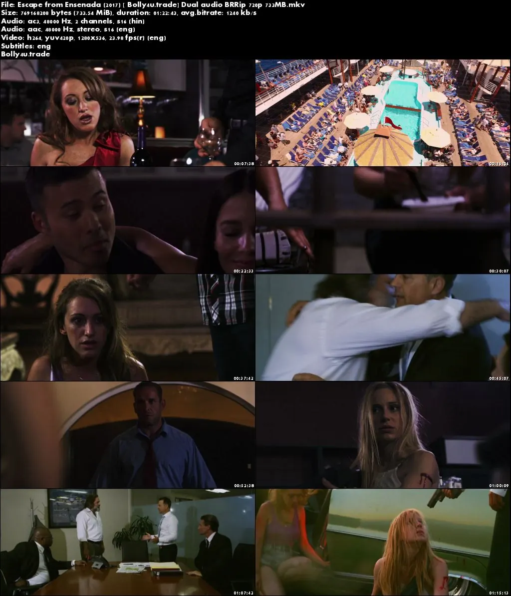  Escape from Ensenada 2017 BluRay 280Mb Hindi Dual Audio 480p Download