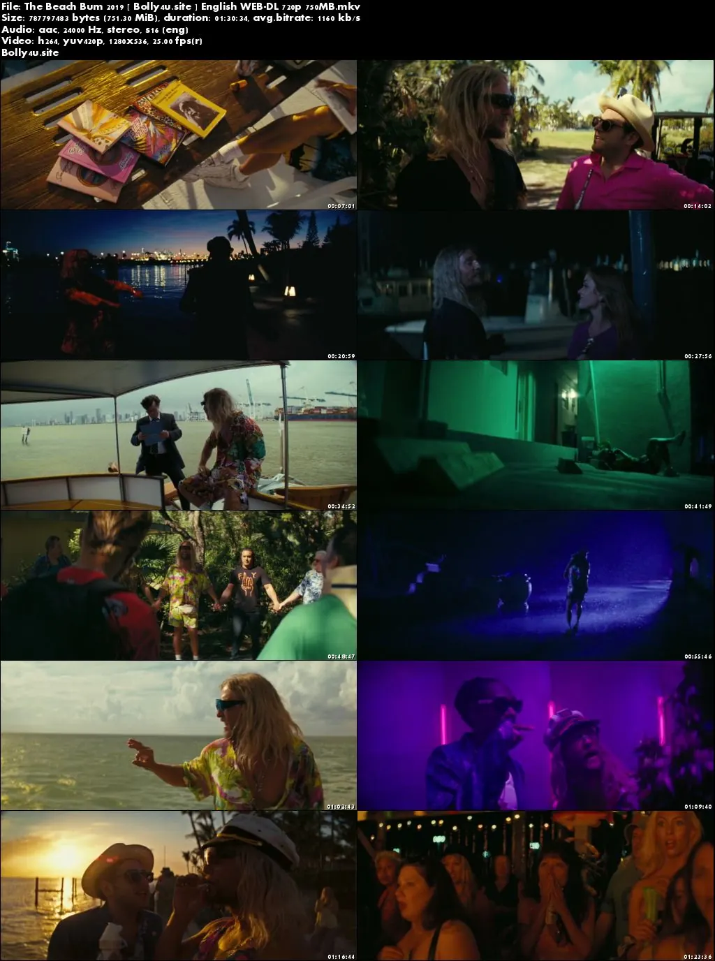 The Beach Bum 2019 WEB-DL 300MB English 480p Download