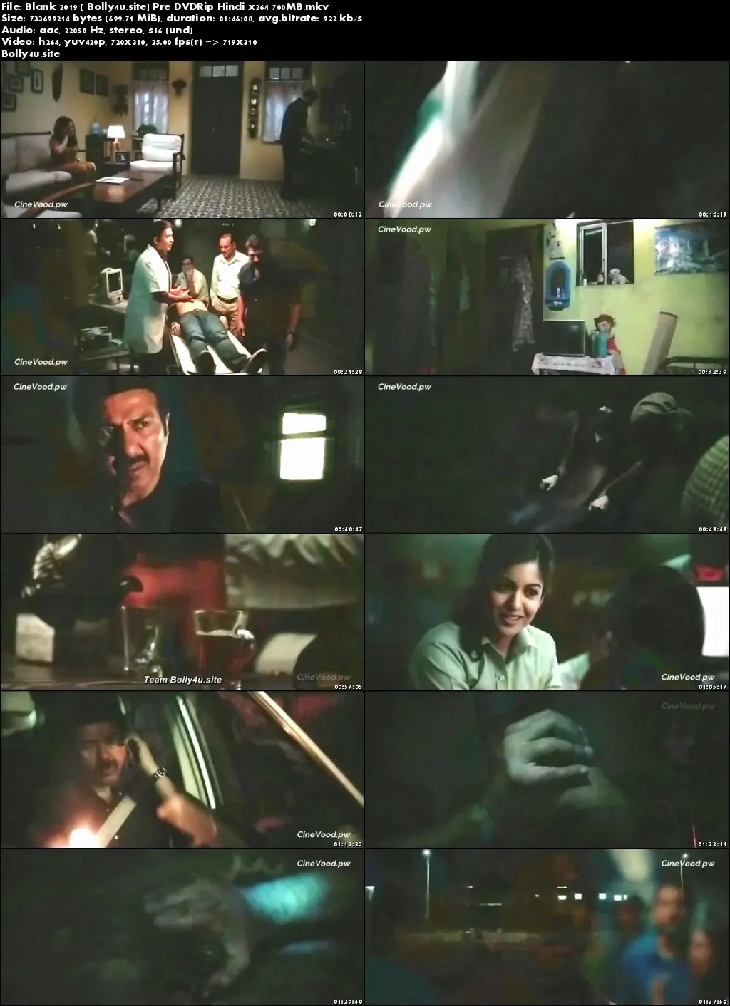 Blank 2019 Pre DVDRip 700Mb Hindi x264 Download