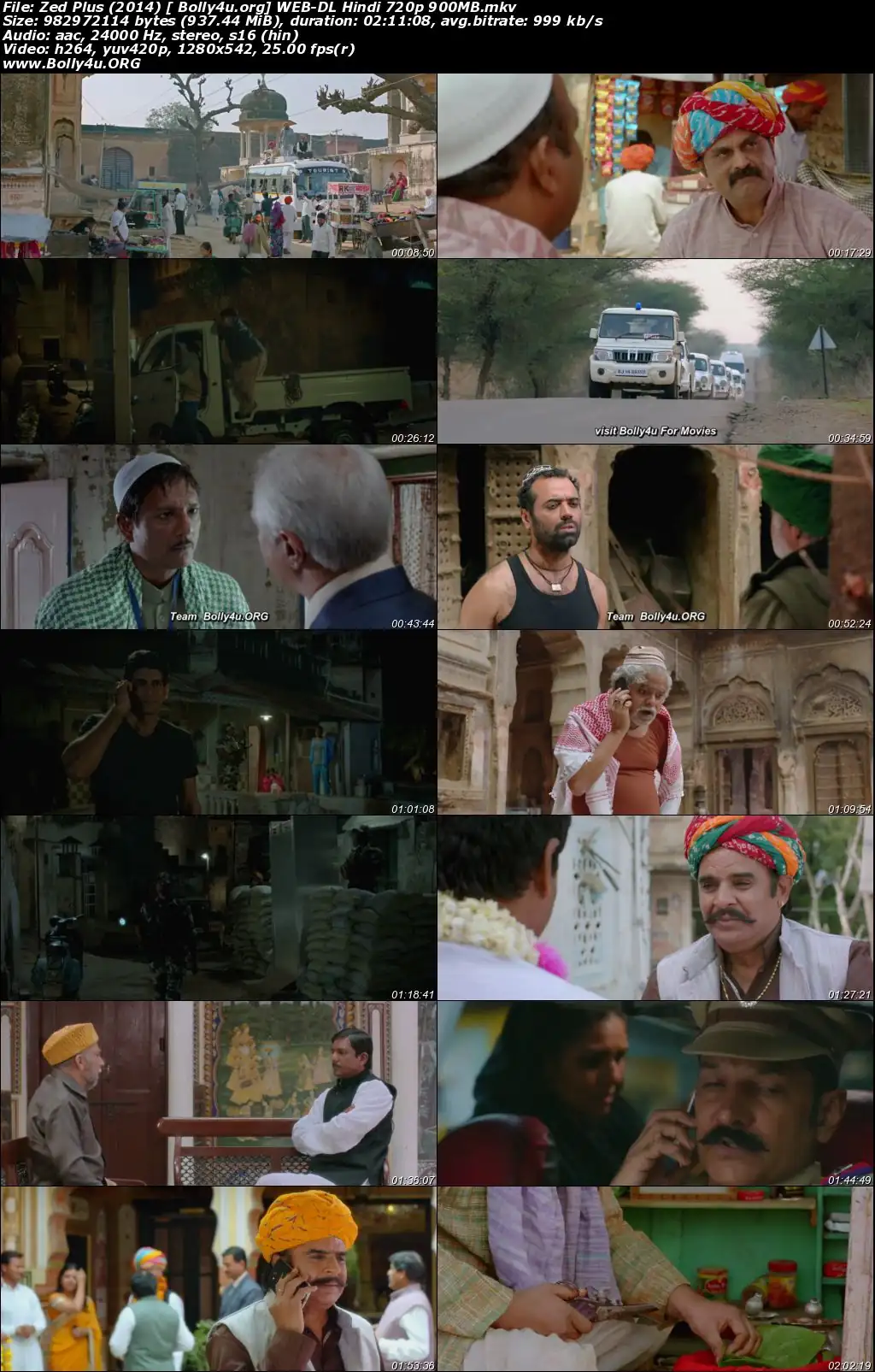 Zed Plus 2014 HDRip 350MB Hindi Movie 480p Download