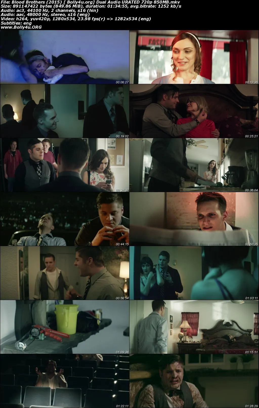 Blood Brothers 2015 BluRay 850Mb UNRATED Hindi Dual Audio 720p Download