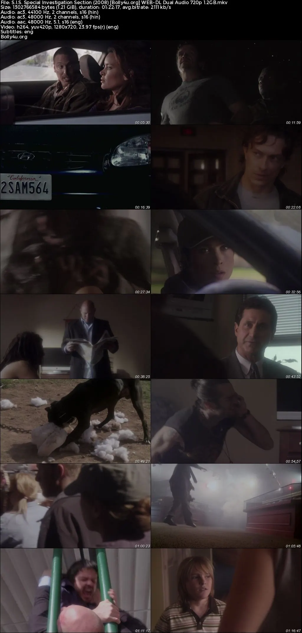 S.I.S. Special Investigation Section 2008 WEB-DL Hindi Dual Audio Full Movie Download 720p  480p