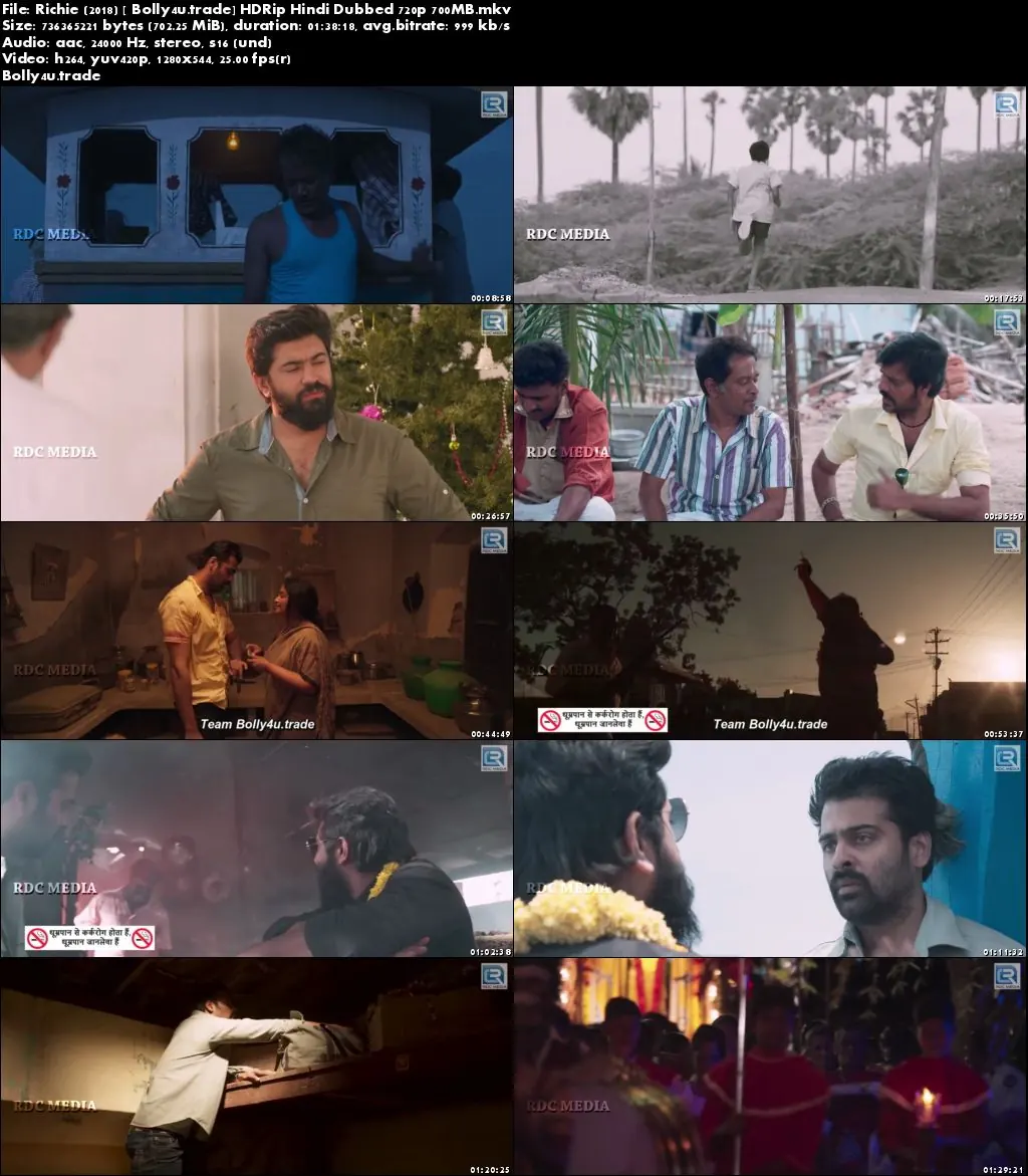 Richie 2018 HDRip 300MB Hindi Dubbed 480p Download