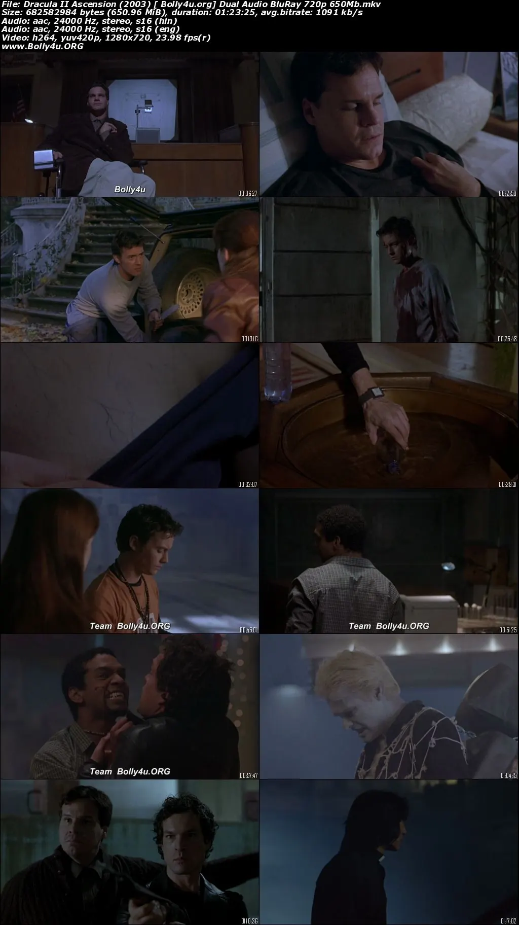 Dracula 2 Ascension 2003 BRRip 280Mb Hindi Dual Audio 480p Download