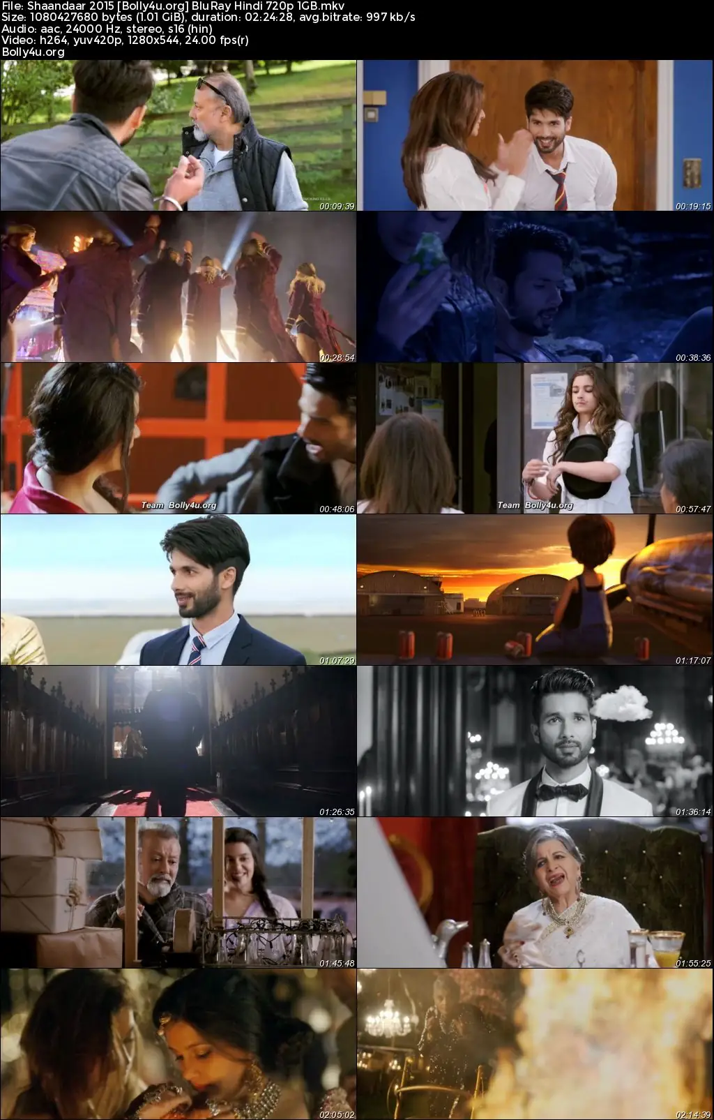 Shaandaar 2015 BluRay Hindi Full Movie Download 1080p  720p  480p