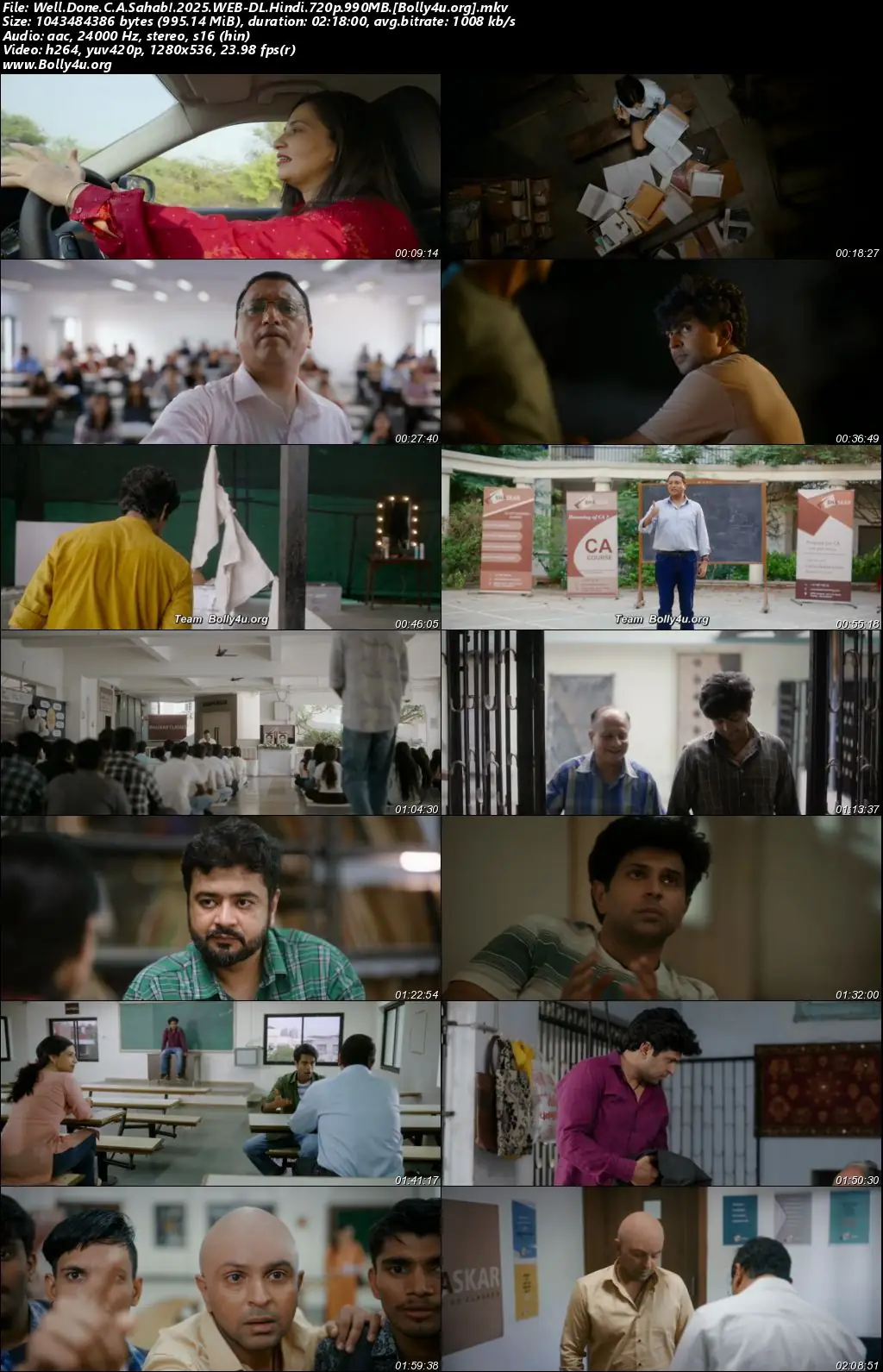 Well Done C.A Sahab 2025 WEB-DL Hindi Full Movie Download 1080p  720p  480p