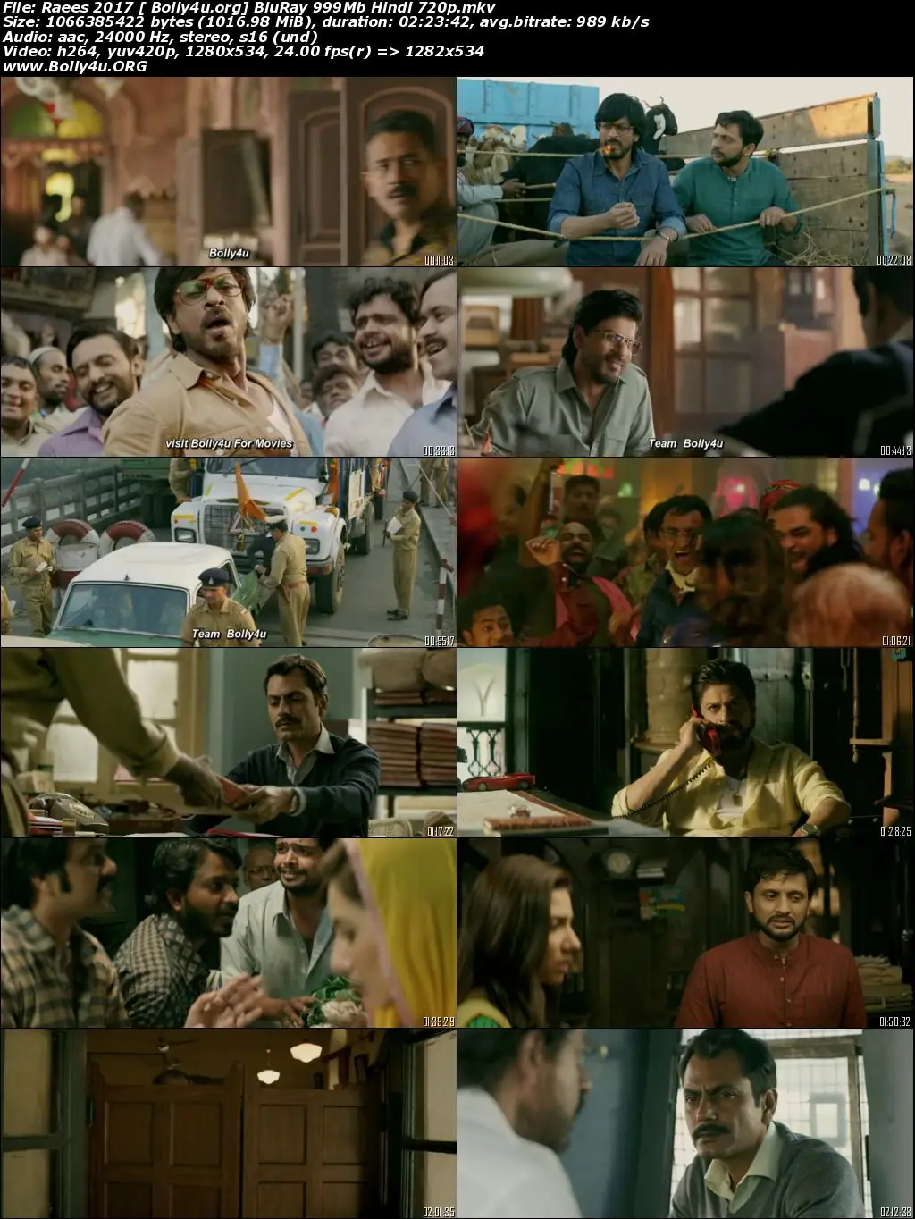 Raees 2017 BluRay Hindi Movie Download 720p  480p