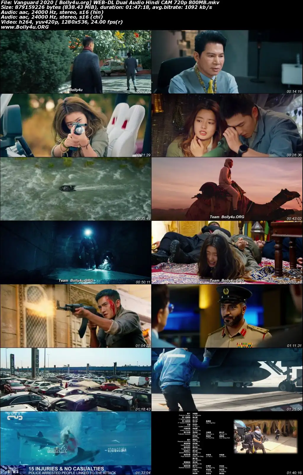 Vanguard 2020 WEB-DL 800Mb Hindi Dual Audio 720p Download