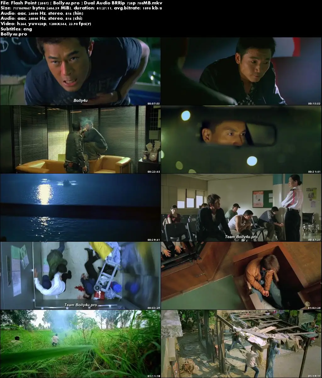 Flash Point 2007 BRRip 700Mb Hindi Dual Audio 720p Download