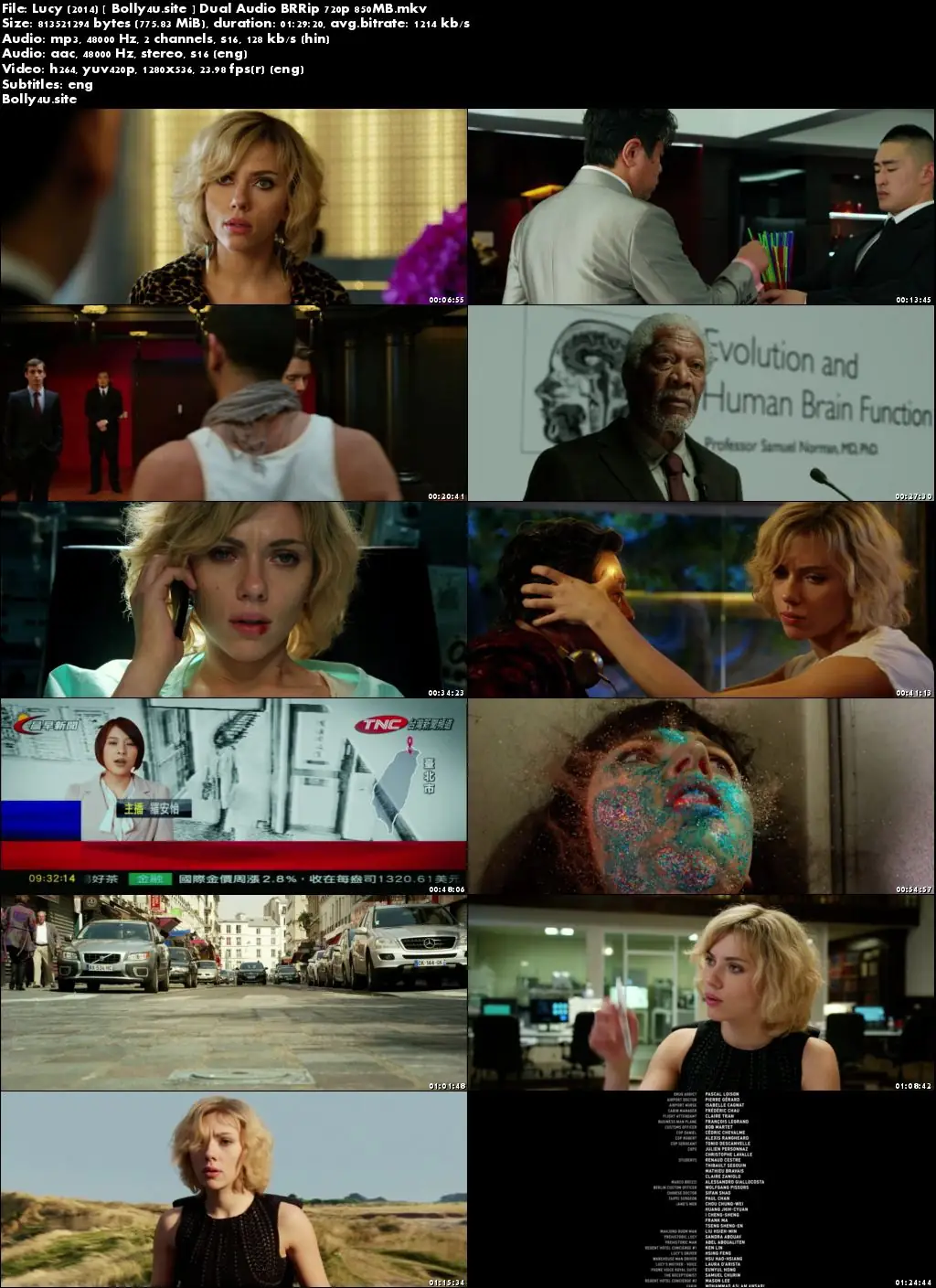 Lucy 2014 BRRip 300MB Hindi Dual Audio 480p ESub Download
