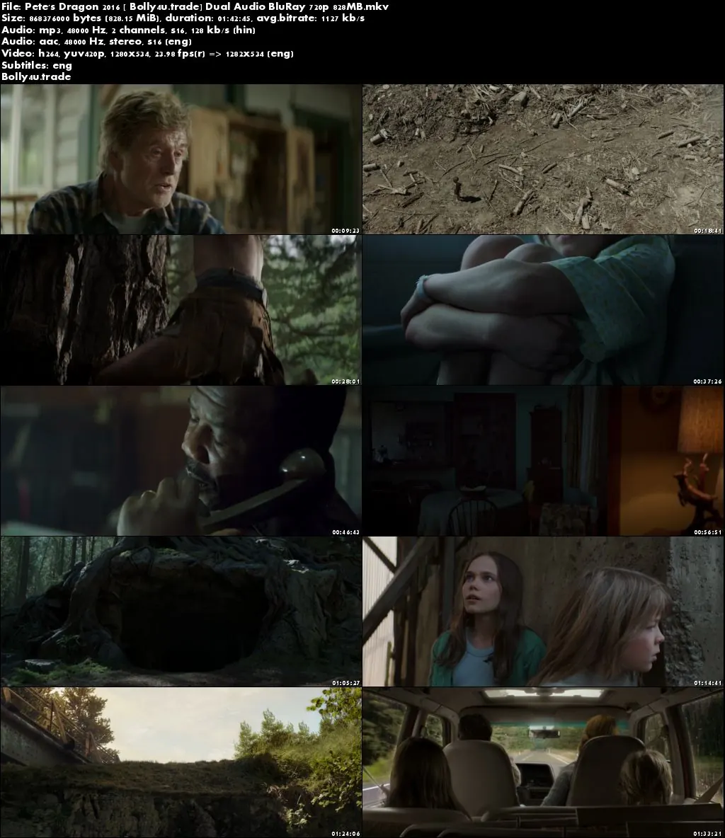 Petes Dragon 2016 BluRay 350MB Hindi Dual Audio 480p ESub Download Petes Dragon 2016 BluRay 350MB Hindi Dual Audio 480p ESub Download