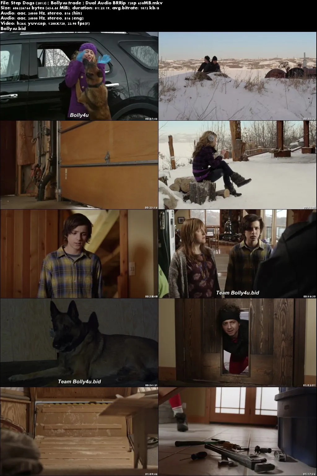 Step Dogs 2013 BRRip 280MB Hindi Dual Audio 480p Download