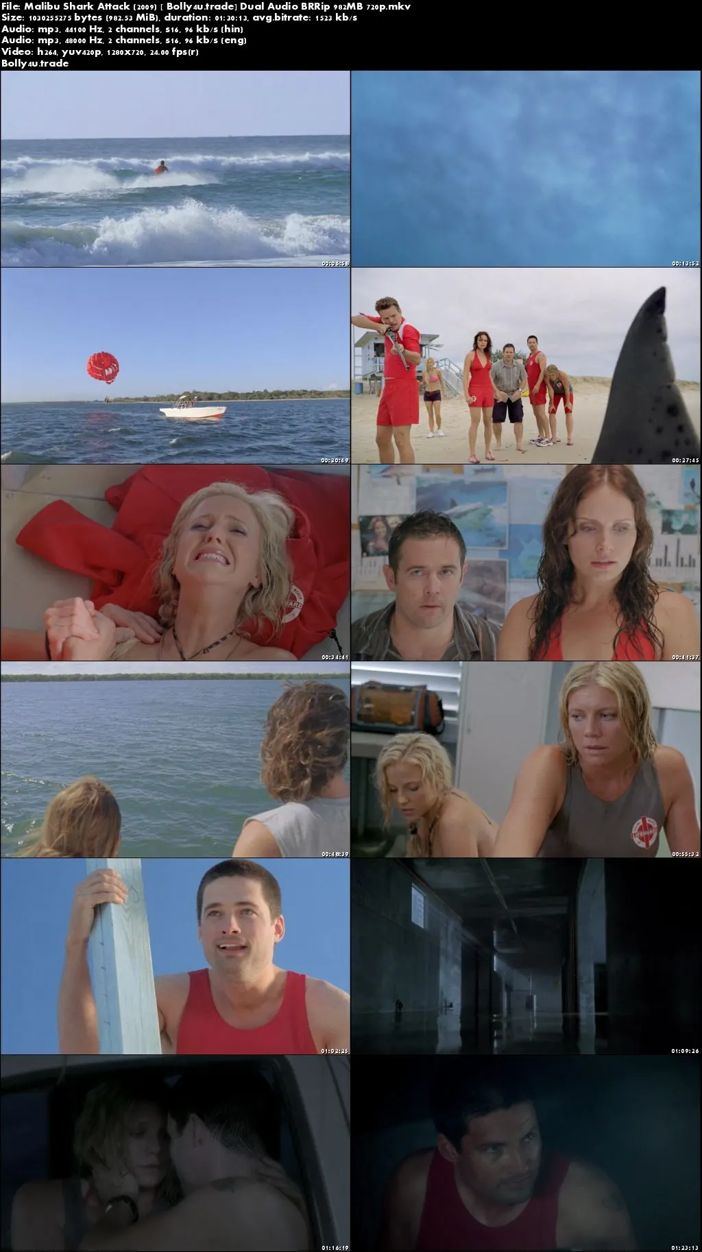 Malibu Shark Attack 2009 BRRip 300MB Hindi Dual Audio 480p Download