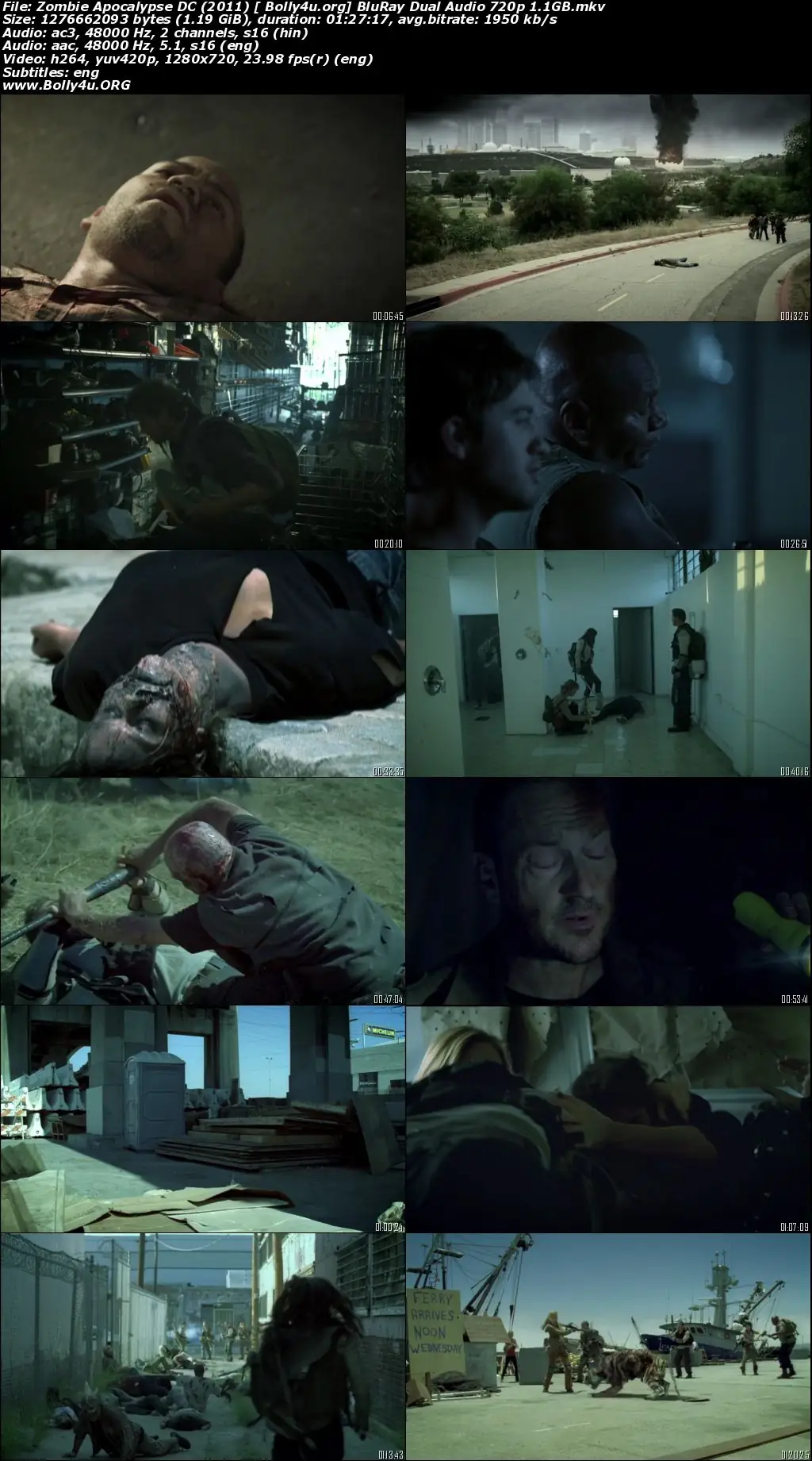 Zombie Apocalypse DC 2011 BRRip Hindi Dual Audio 720p 480p Download
