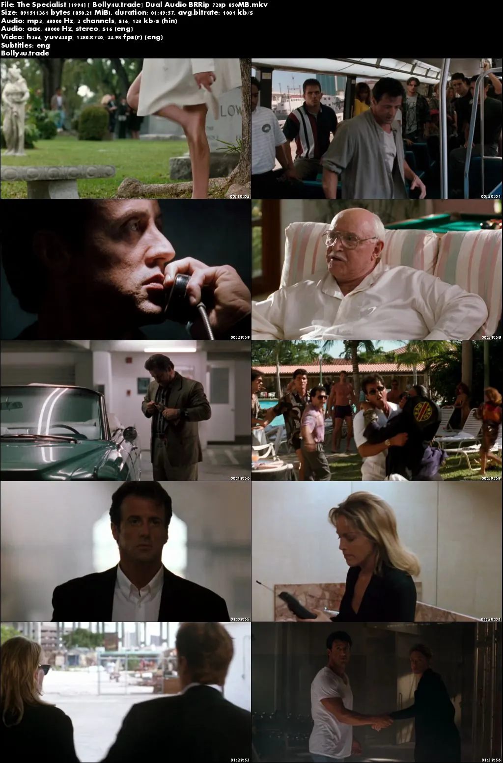 The Specialist 1994 BRRip 300MB Hindi Dual Audio 480p Download The Specialist 1994 BRRip 300MB Hindi Dual Audio 480p Download