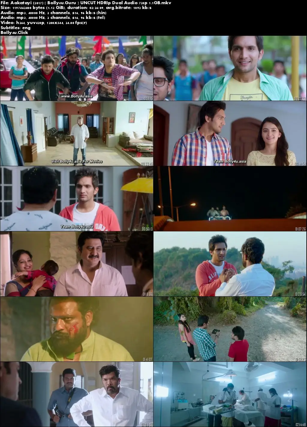Aakatayi 2017 HDRip 450Mb Hindi Dual Audio 480p Download