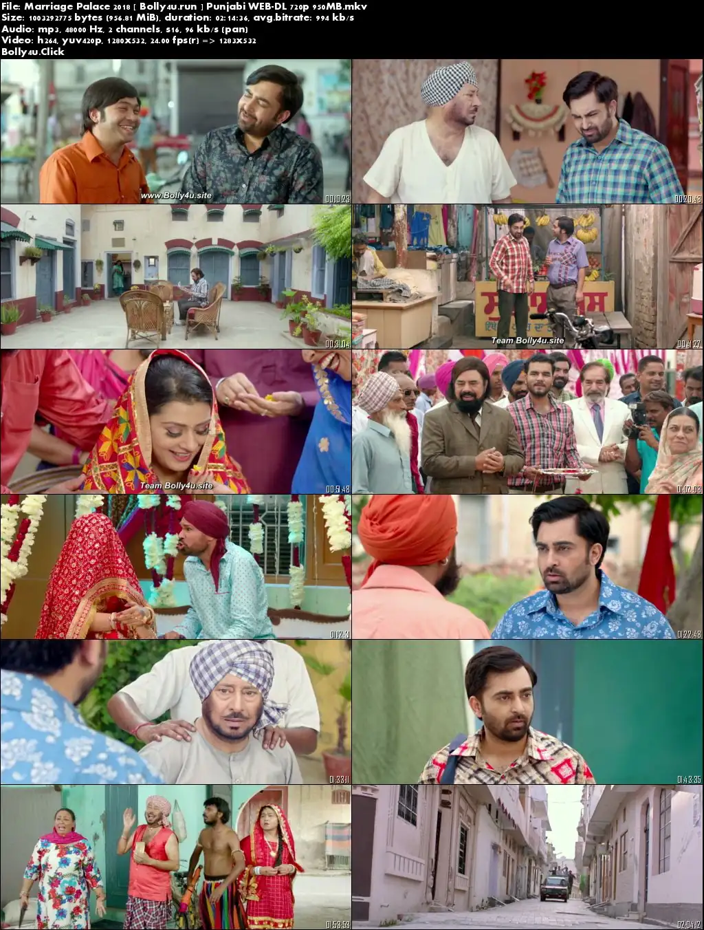 Marriage Palace 2018 WEB-DL 950Mb Punjabi 720p Download Marriage Palace 2018 WEB-DL 950Mb Punjabi 720p Download