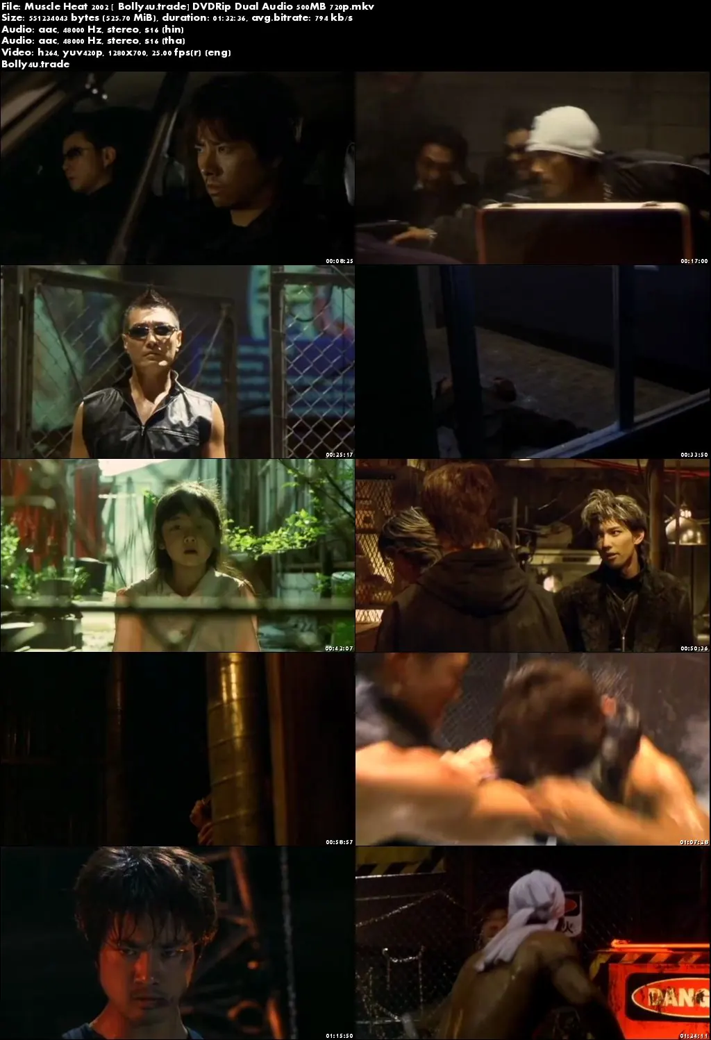 Muscle Heat 2002 DVDRip 300Mb Hindi Dual Audio 480p Download