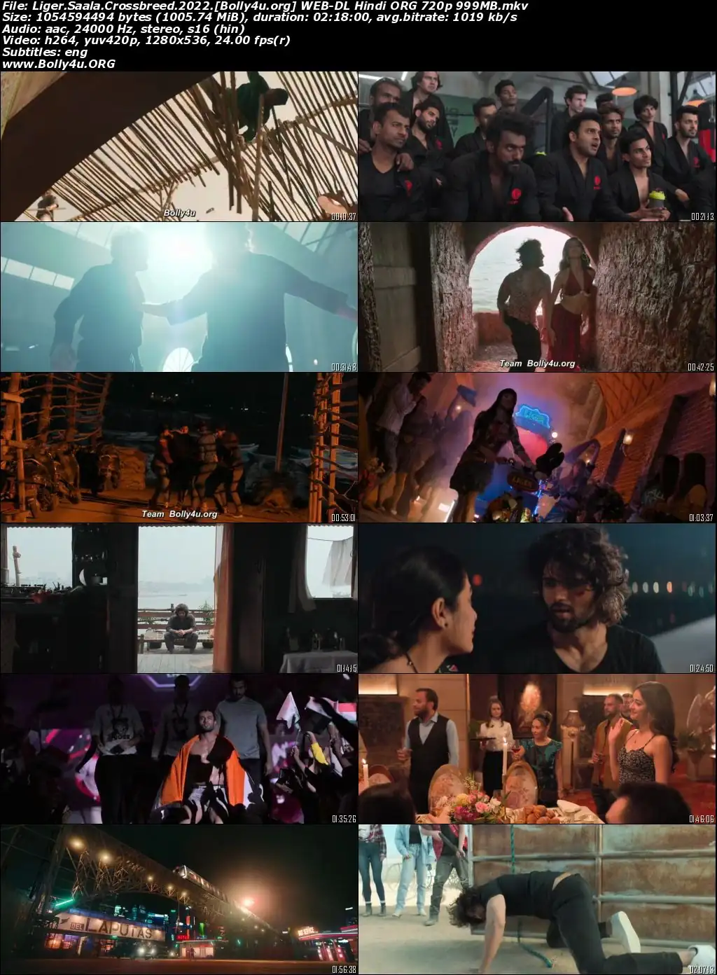 Liger 2022 WEB-DL Hindi ORG Full Movie Download 1080p  720p  480p