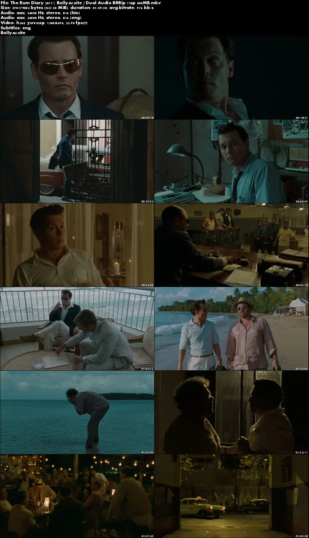 The Rum Diary 2011 BRRip 400Mb Hindi Dual Audio 480p Download