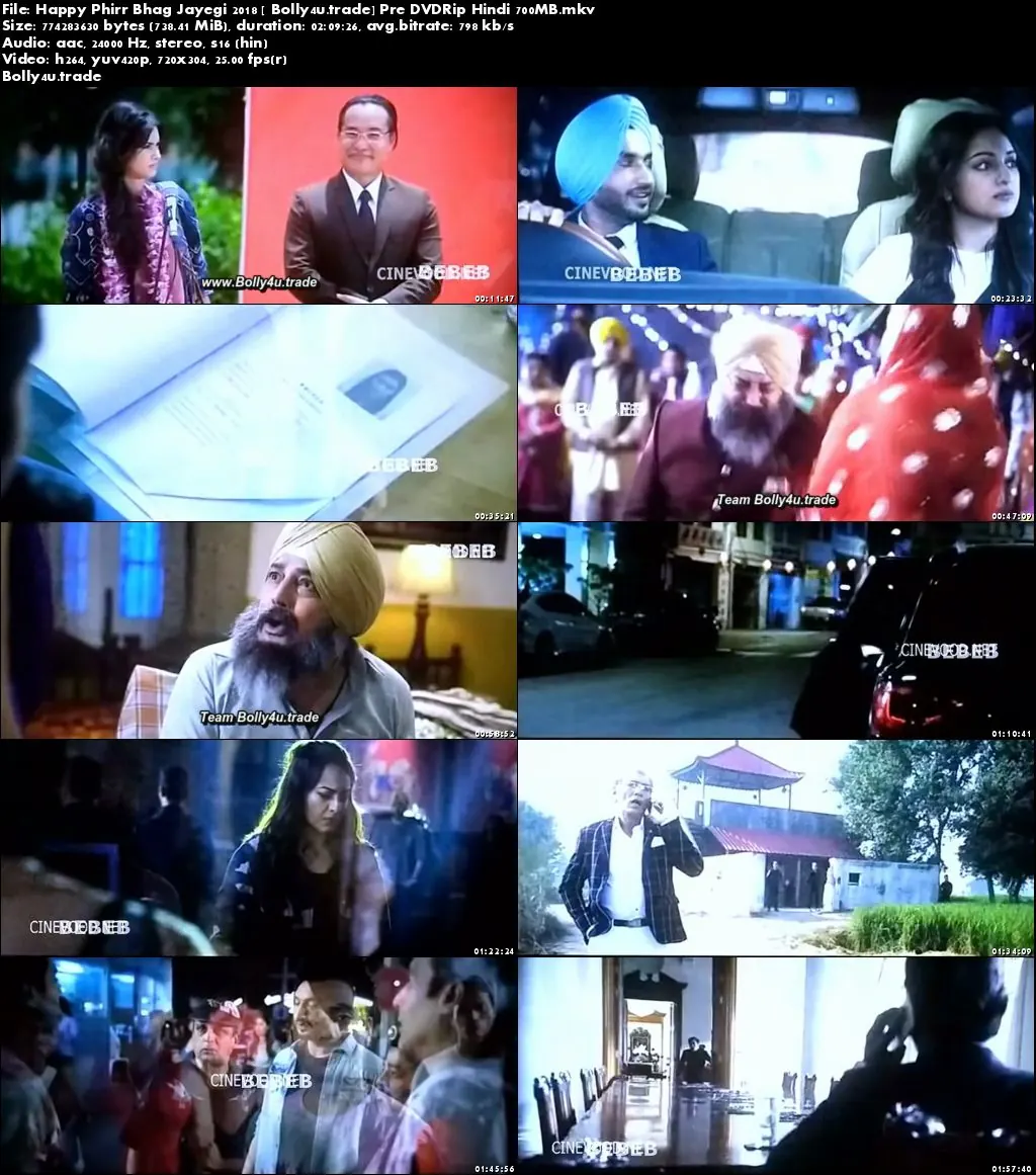 Happy Phirr Bhag Jayegi 2018 Pre DVDRip 700MB Full Hindi Movie Download