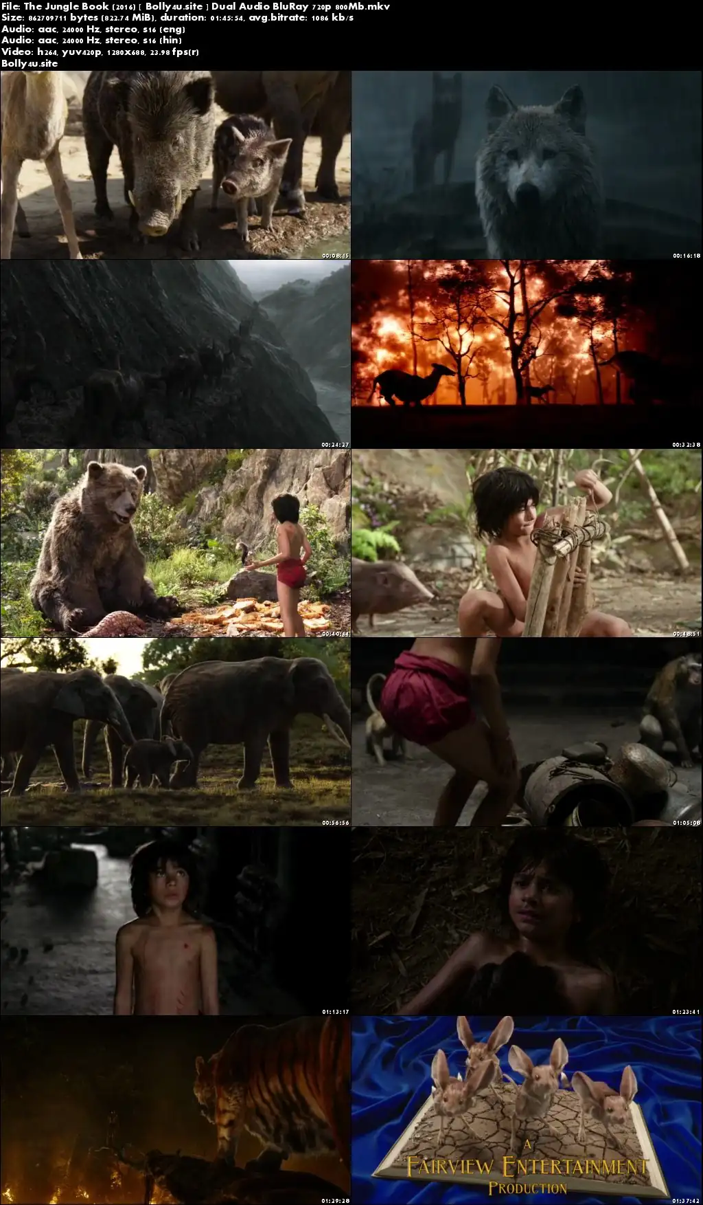 The Jungle Book 2016 BluRay 800Mb Hindi Dual Audio 720p Download The Jungle Book 2016 BluRay 800Mb Hindi Dual Audio 720p Download