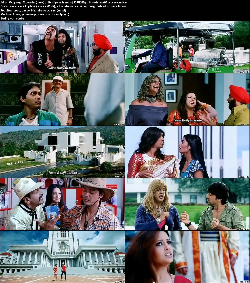 Paying Guests 2009 DTHRip 350Mb Full Hindi Movie Download 480p