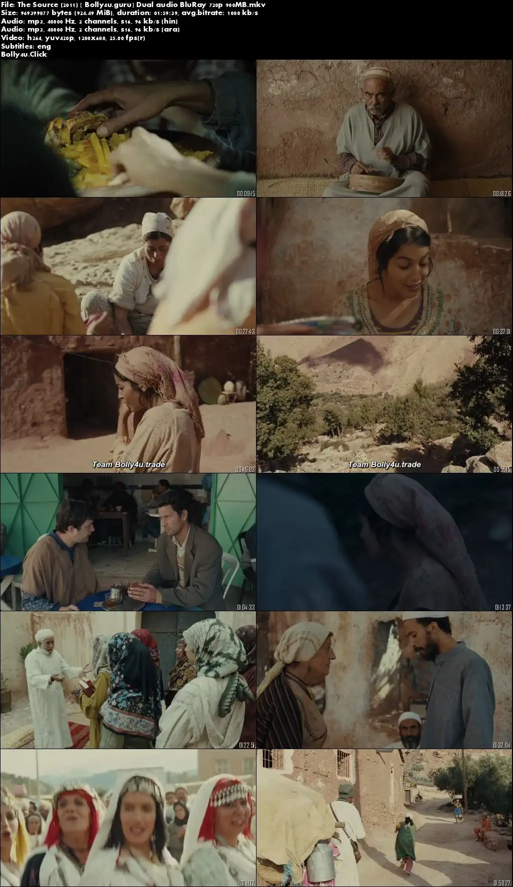 The Source 2011 BluRay 400Mb Hindi Dual Audio 480p Download