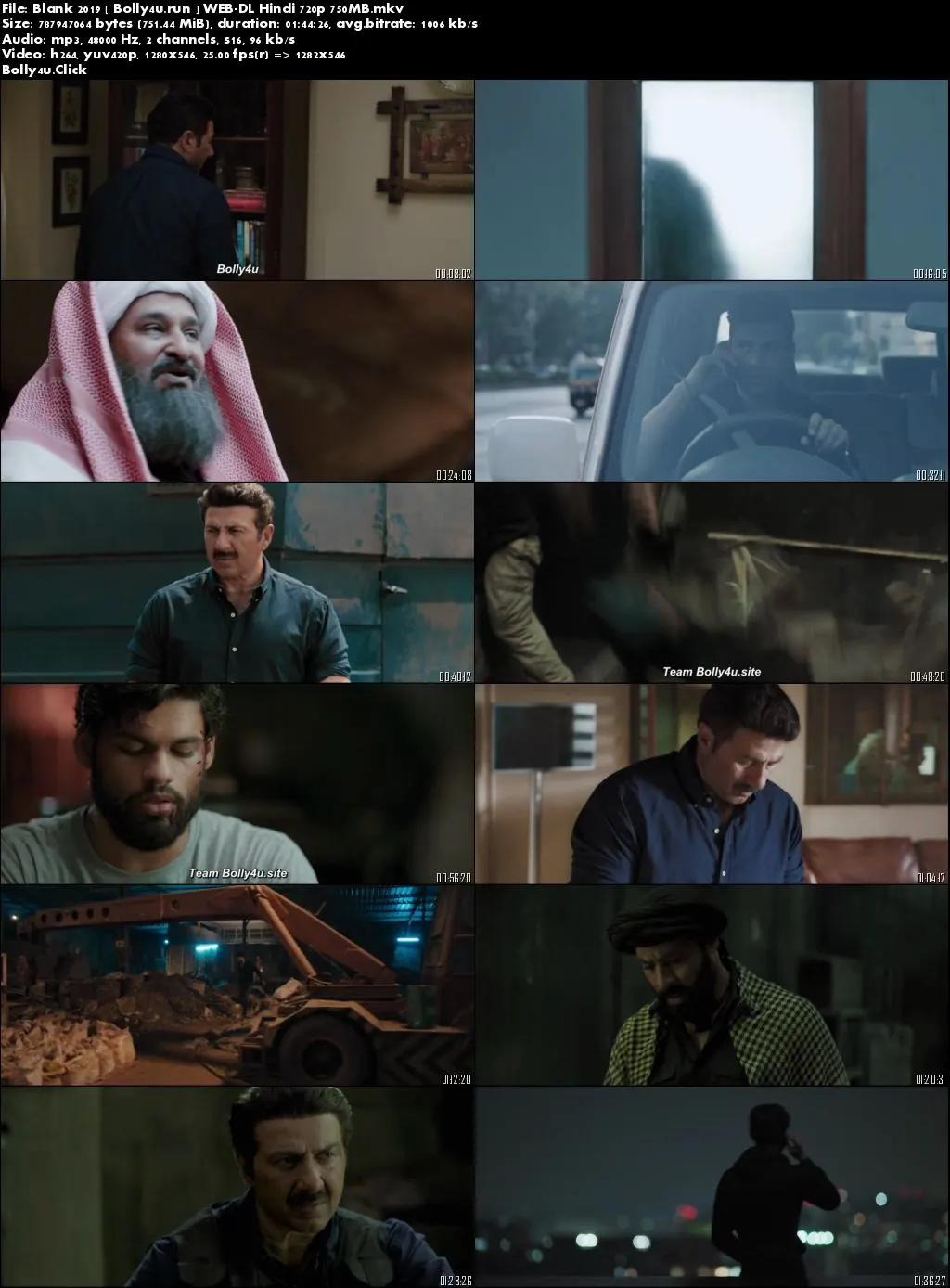 Blank 2019 WEB-DL 300MB Full Hindi Movie Download 480p