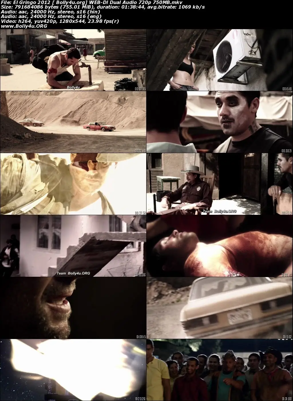El Gringo 2012 BluRay 350Mb Hindi Dual Audio ORG 480p Download