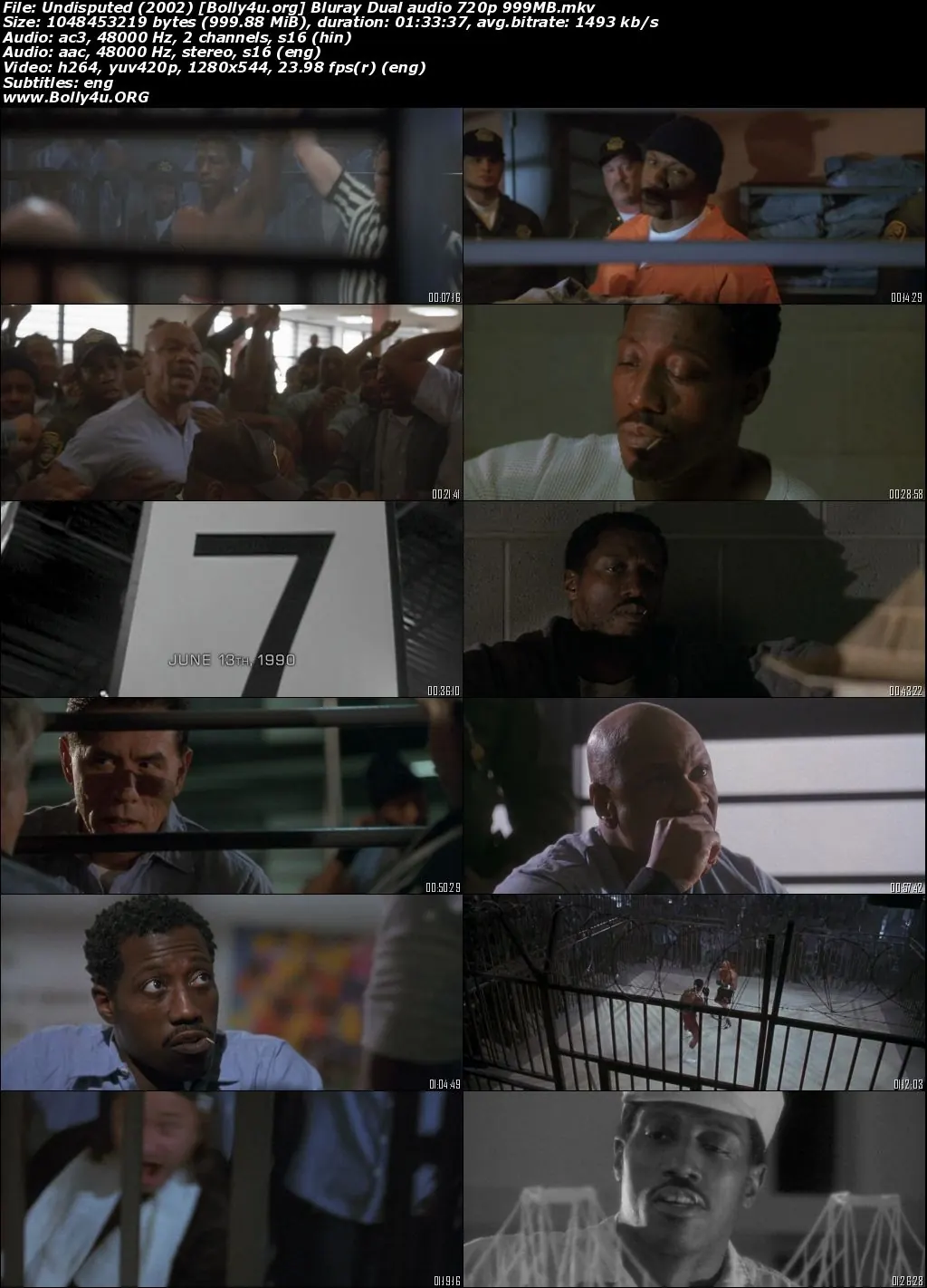 Undisputed 2002 BluRay Hindi Dual Audio Full Movie Download 720p  480p