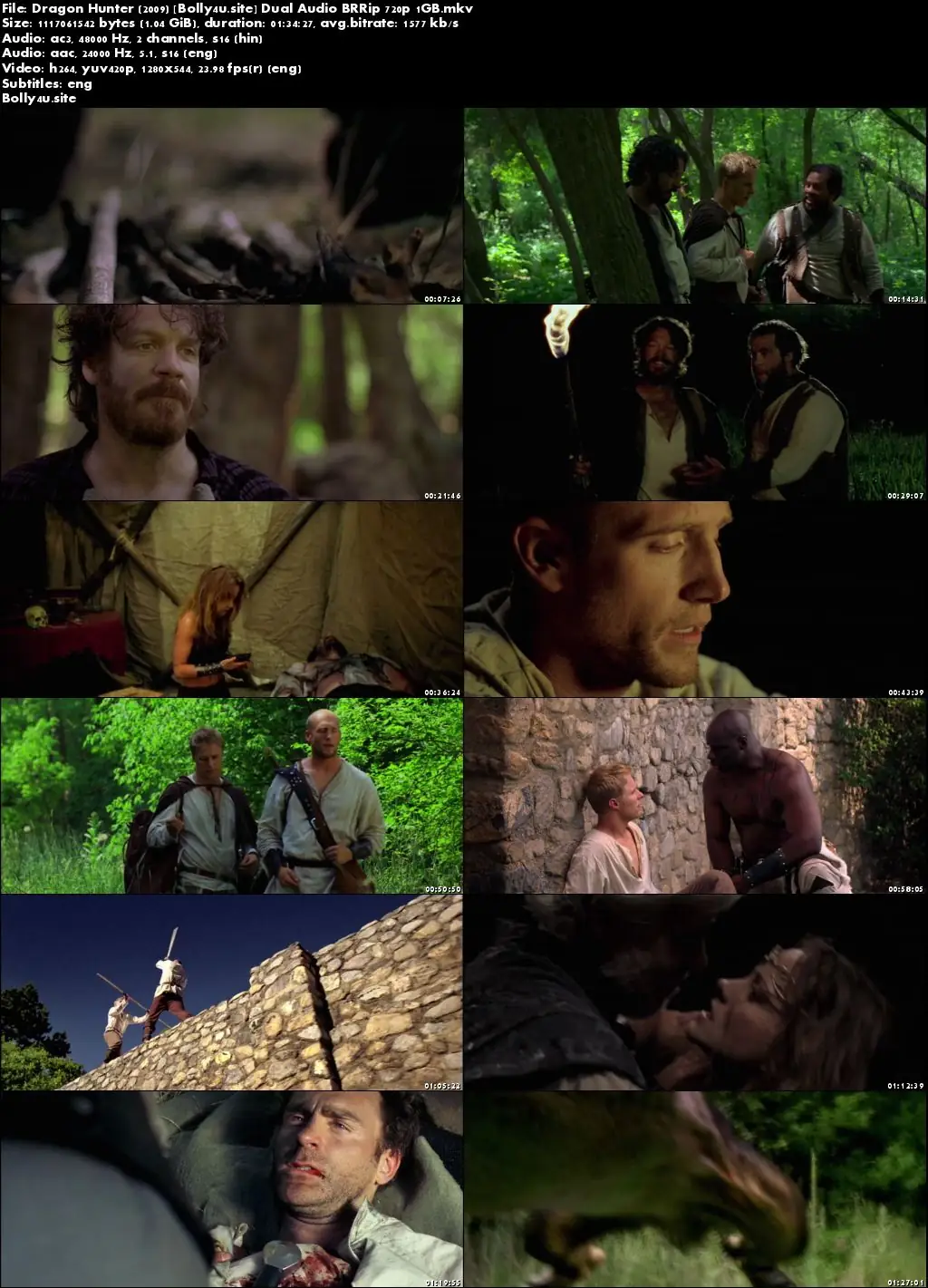 Dragon Hunter 2009 BRRip 300MB Hindi Dual Audio 480p Download Dragon Hunter 2009 BRRip 300MB Hindi Dual Audio 480p Download