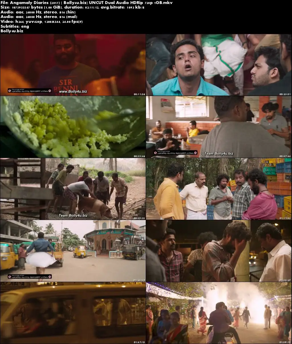 Angamaly Diaries 2017 HDRip 400MB UNCUT Hindi Dual Audio 480p Download Angamaly Diaries 2017 HDRip 400MB UNCUT Hindi Dual Audio 480p Download
