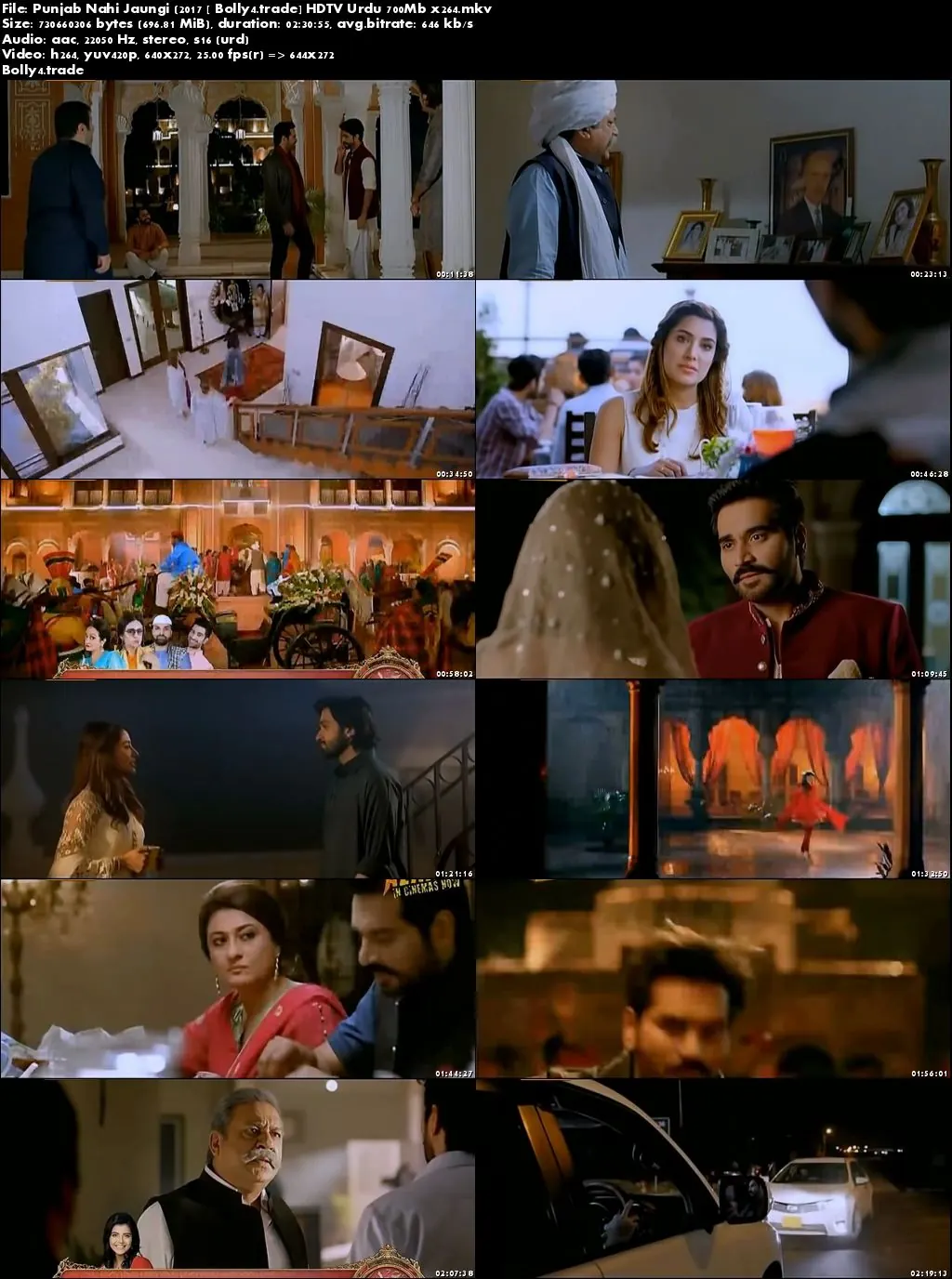 Punjab Nahi Jaungi 2017 HDTV 400MB Pakistani Urdu 480p Download Punjab Nahi Jaungi 2017 HDTV 400MB Pakistani Urdu 480p Download