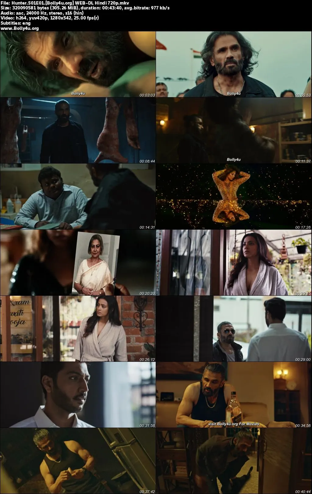 Hunter 2023 WEB-DL Hindi S01 Complete Download 720p  480p